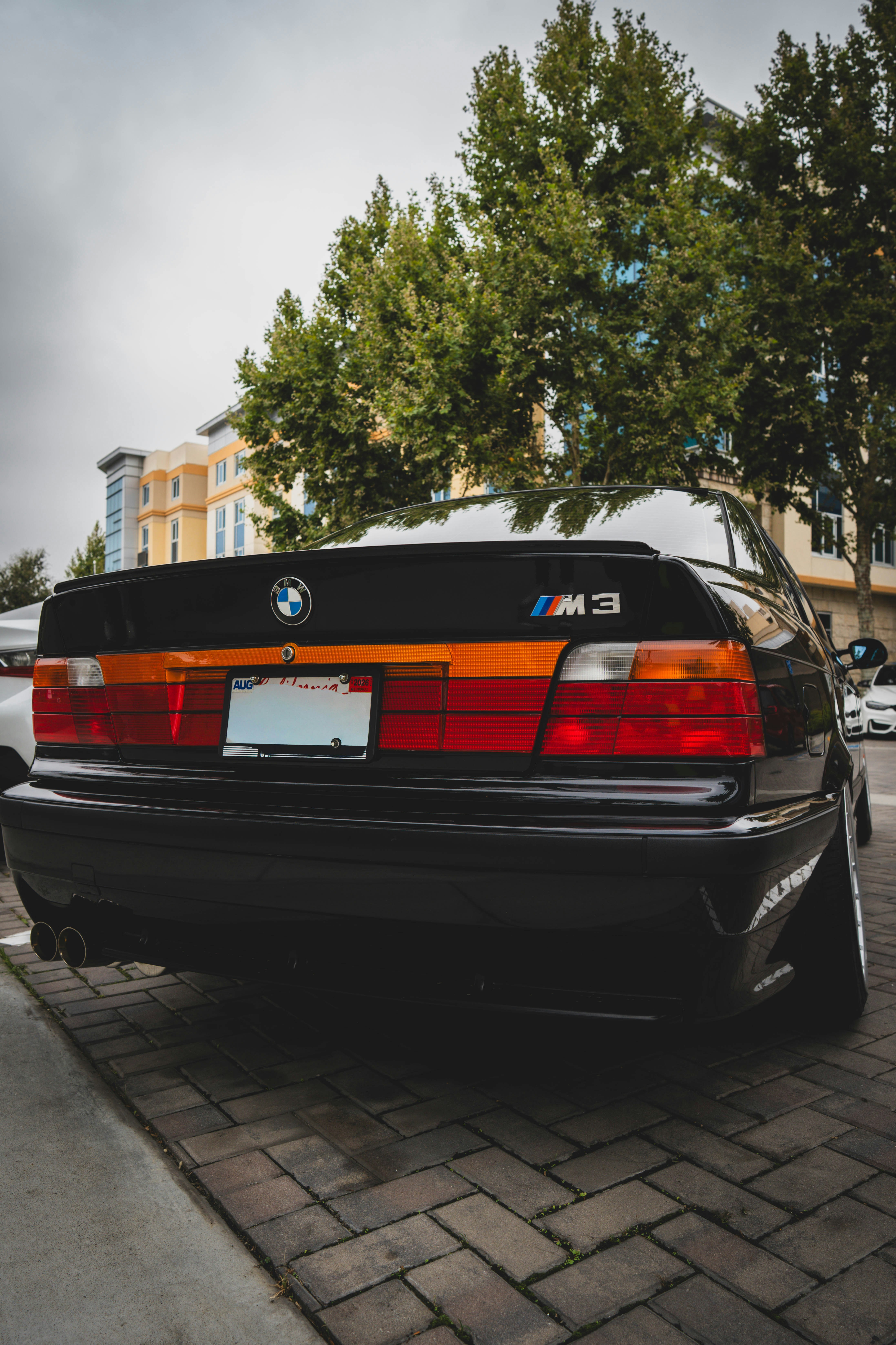 Photo by madeline_sd