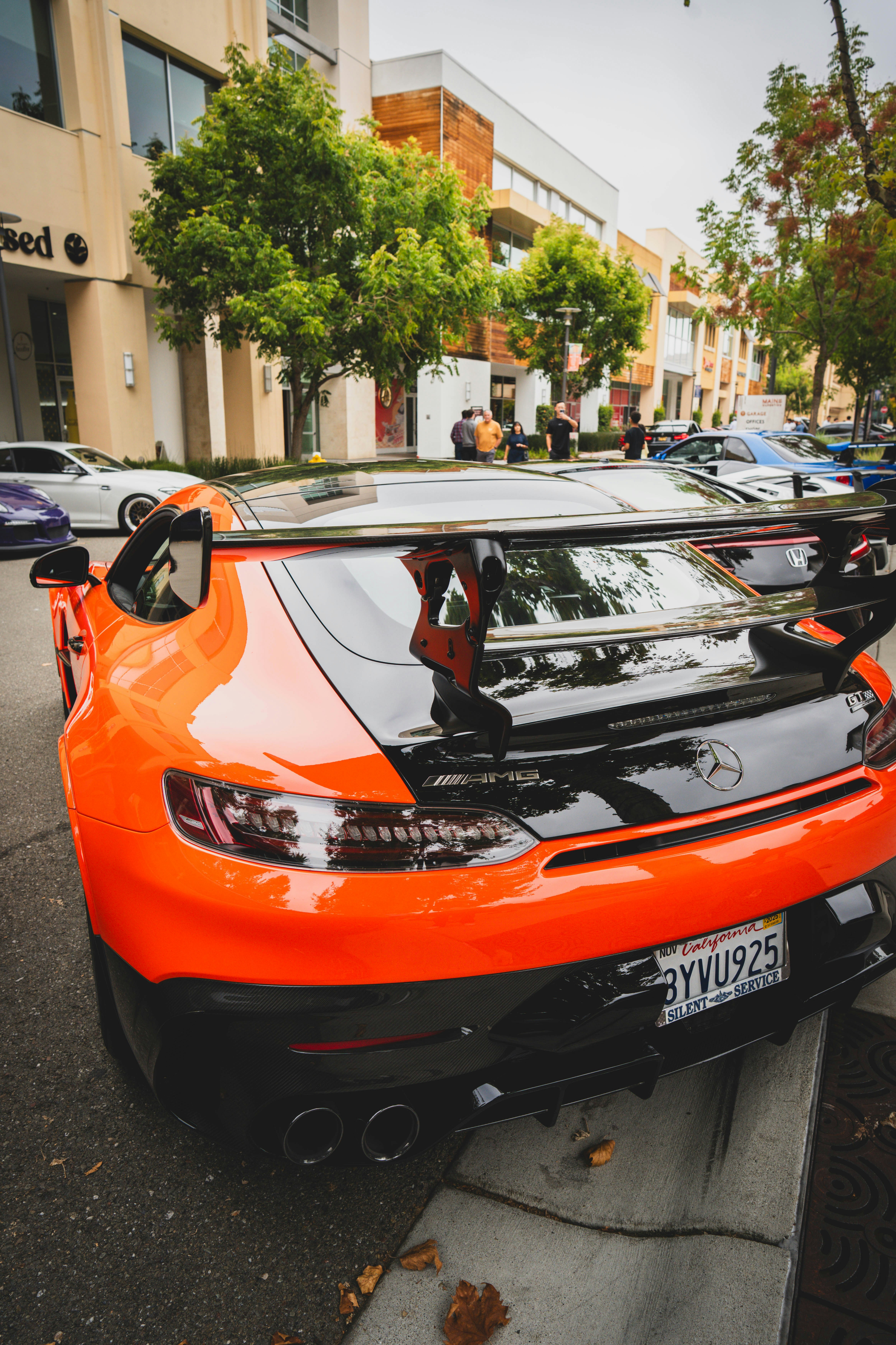 Photo by madeline_sd