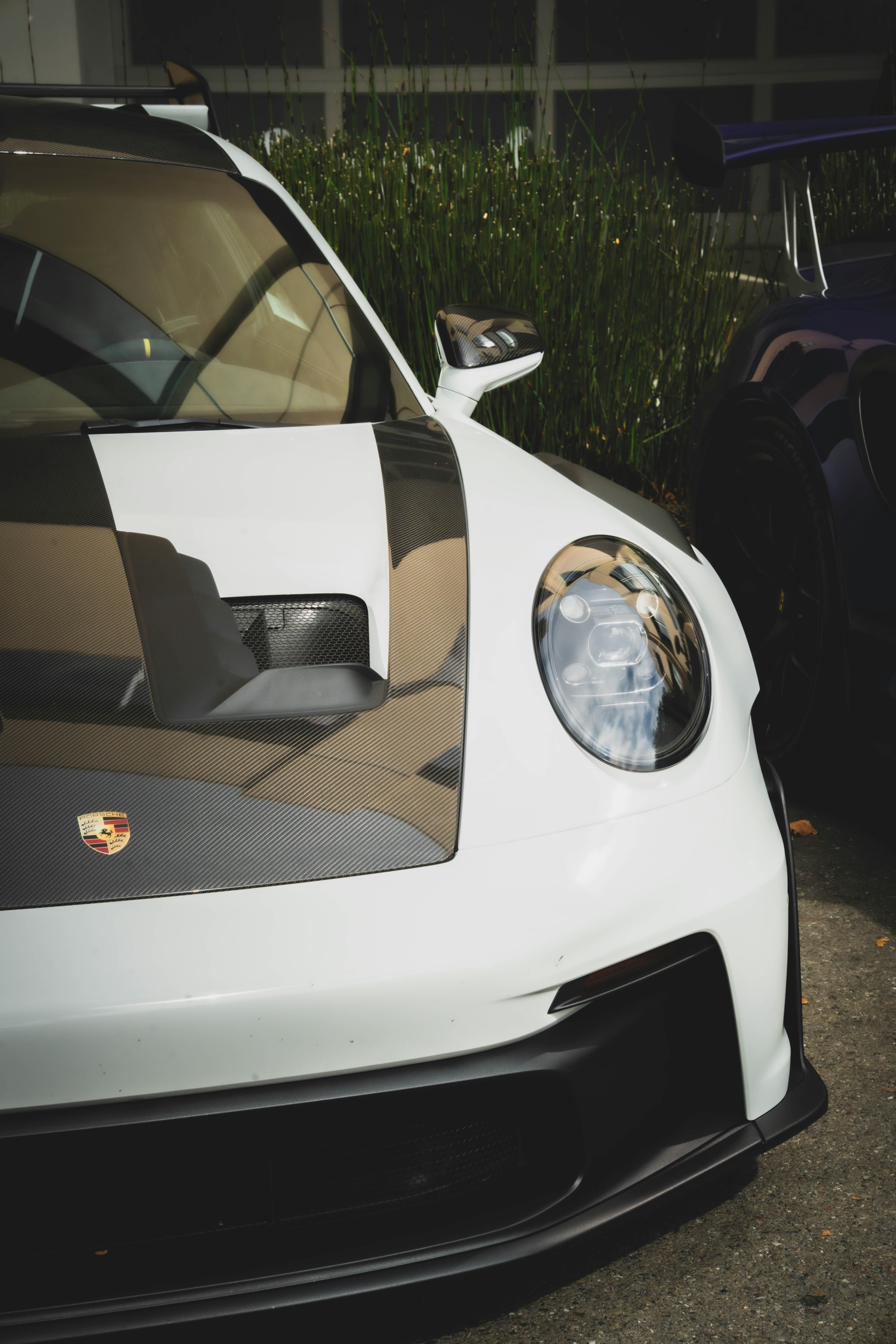 Photo by madeline_sd