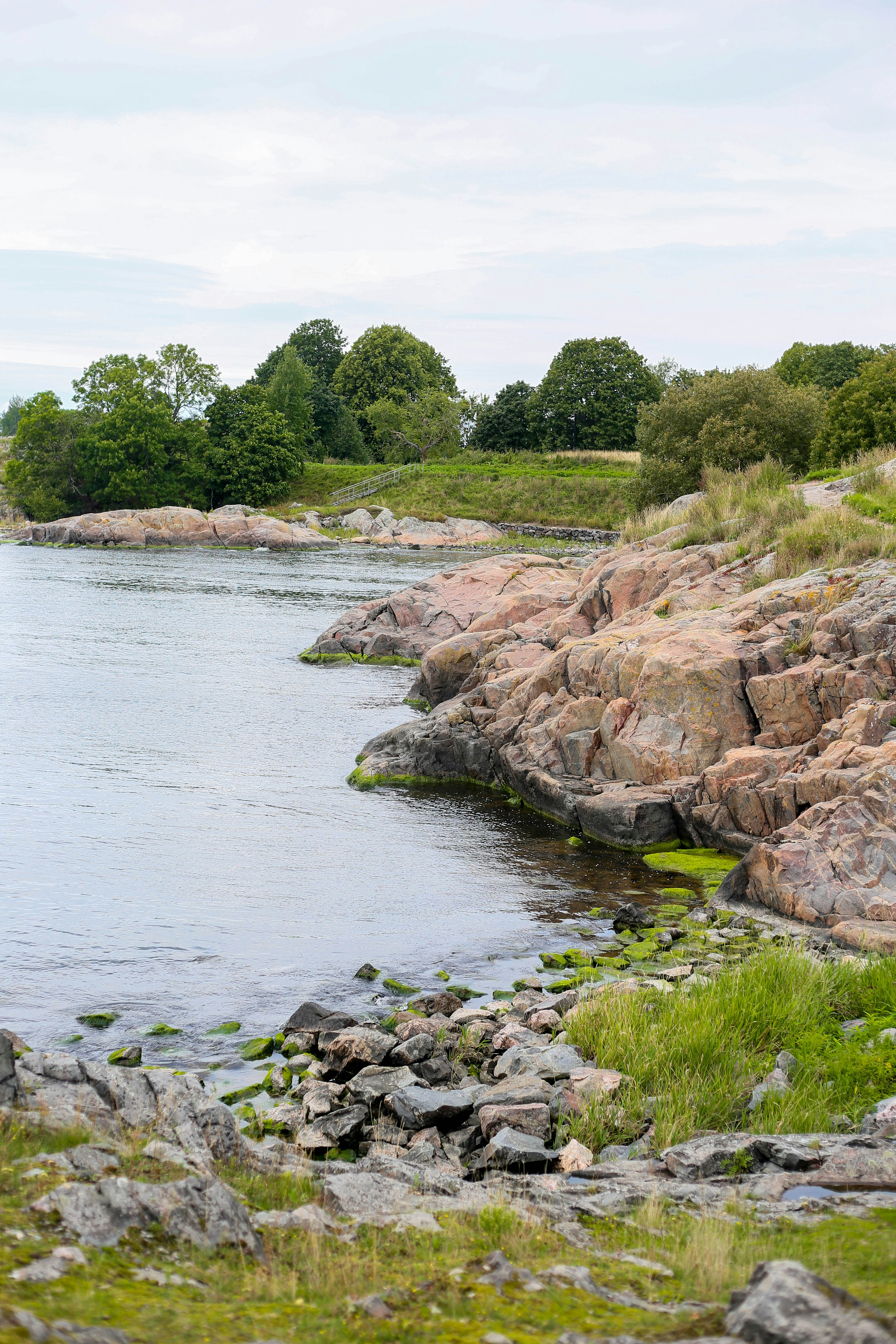 Rocky coastline with green grass and trees
