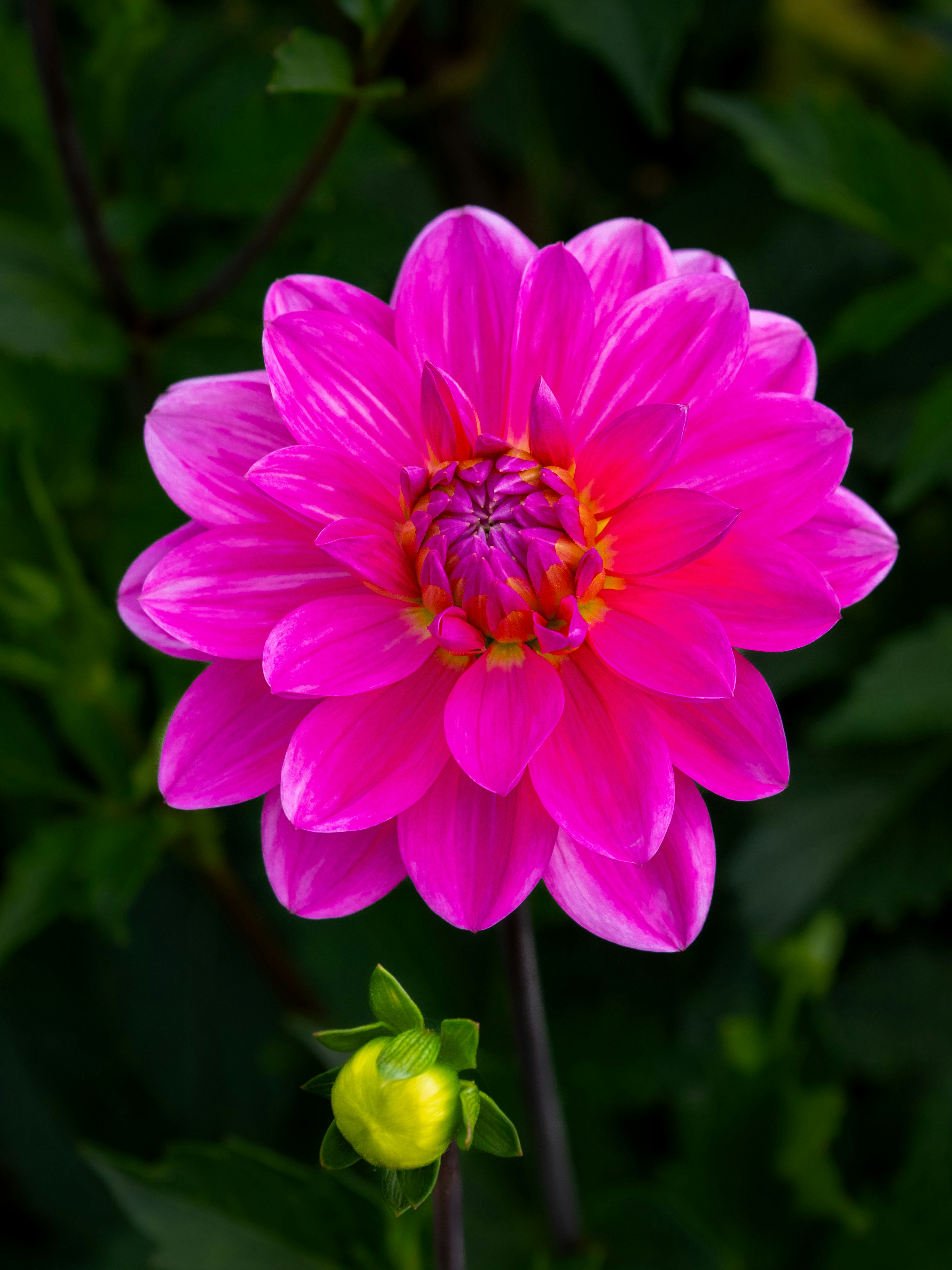 Photo by siegfriedpoepperl