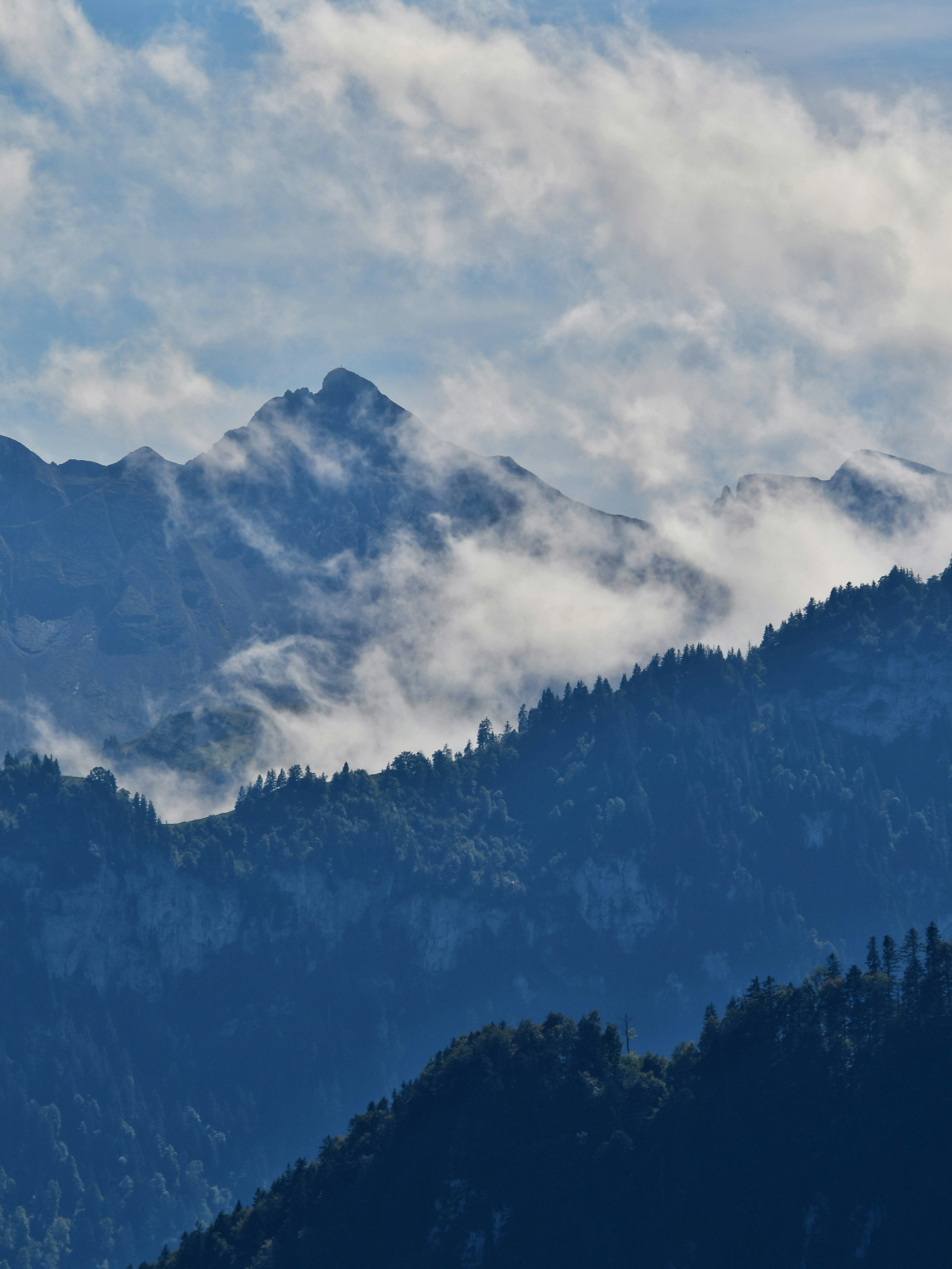 Photo by pedrino5_official