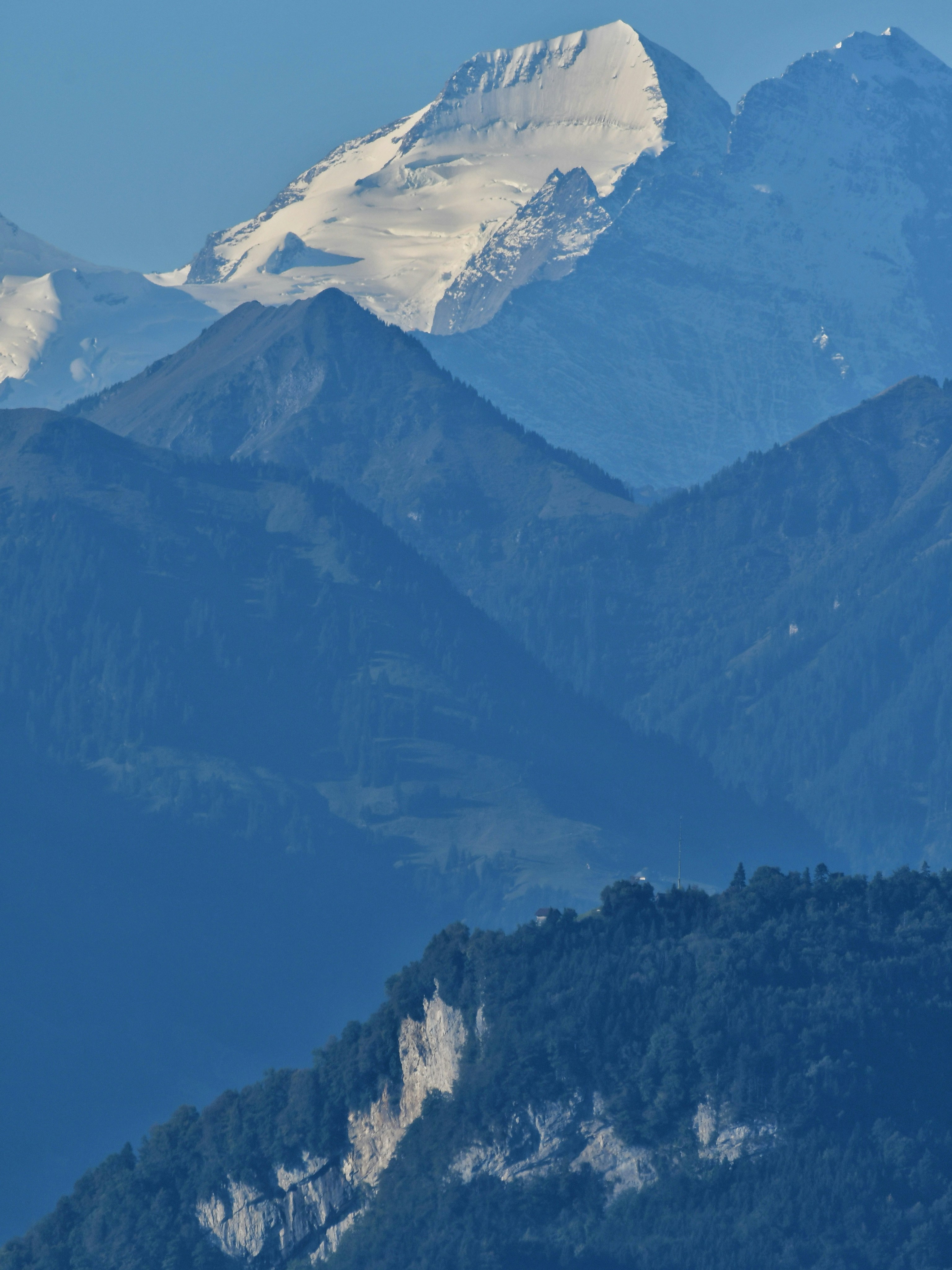 Photo by pedrino5_official