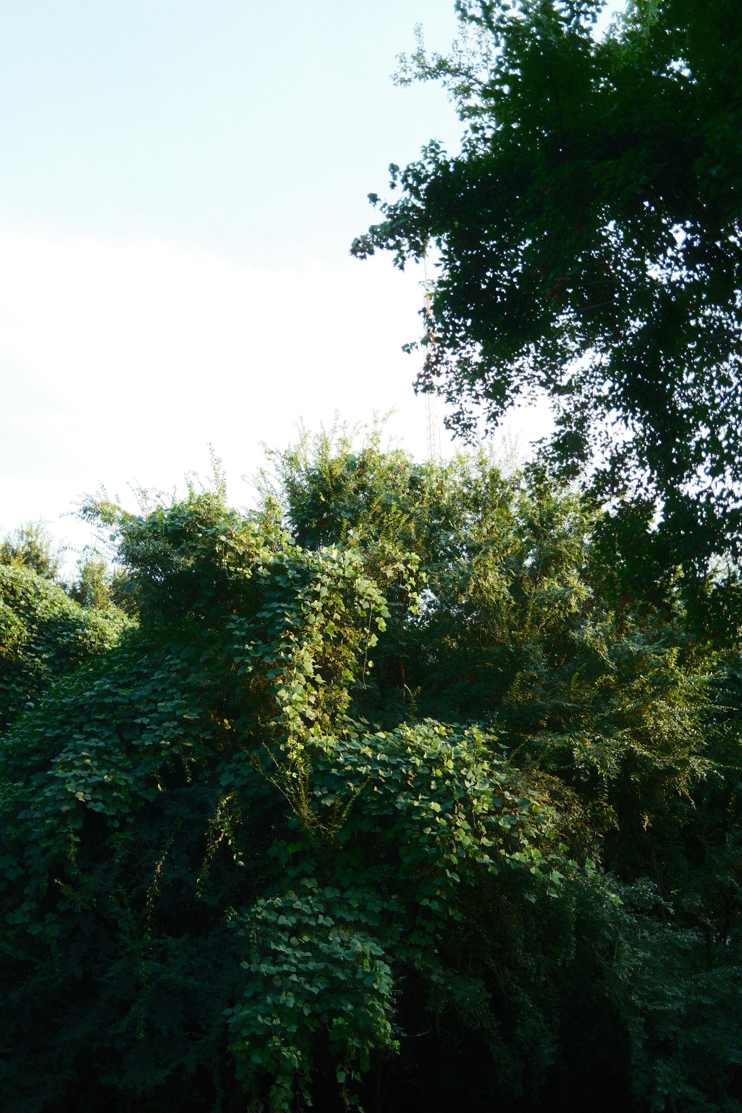 Photo by beangarbage