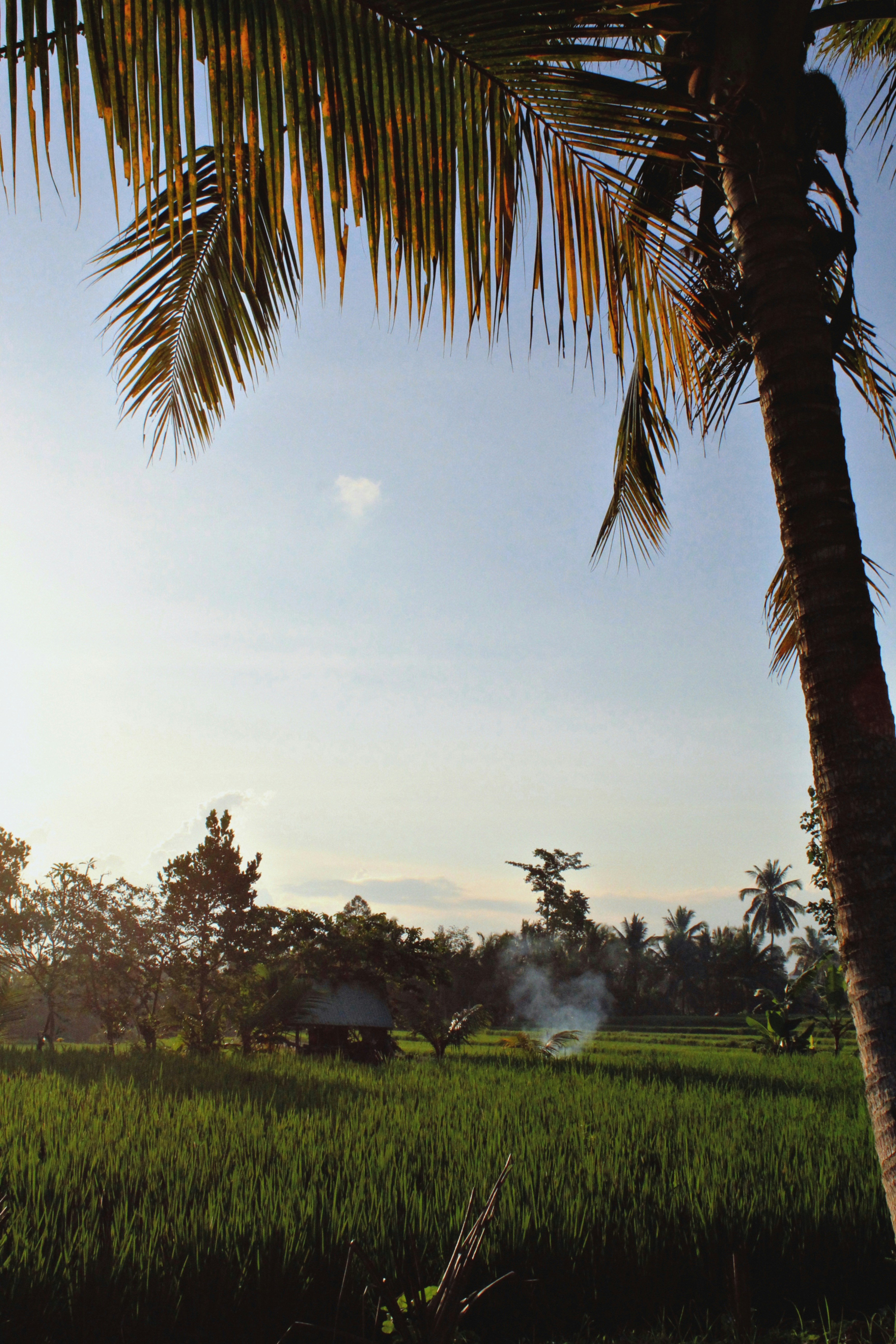 Photo by raphaellemaillard