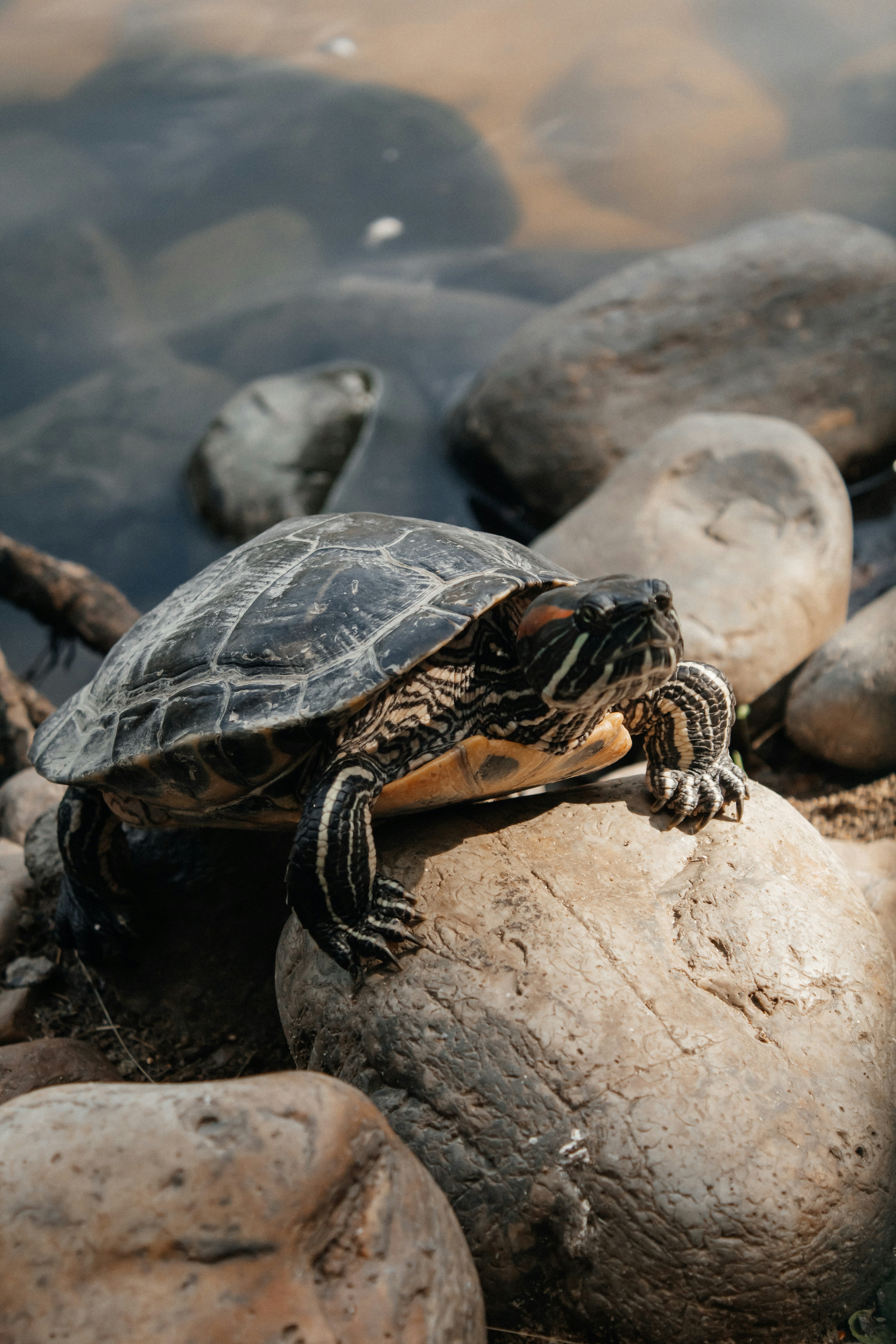 Photo by alinabondar_ph