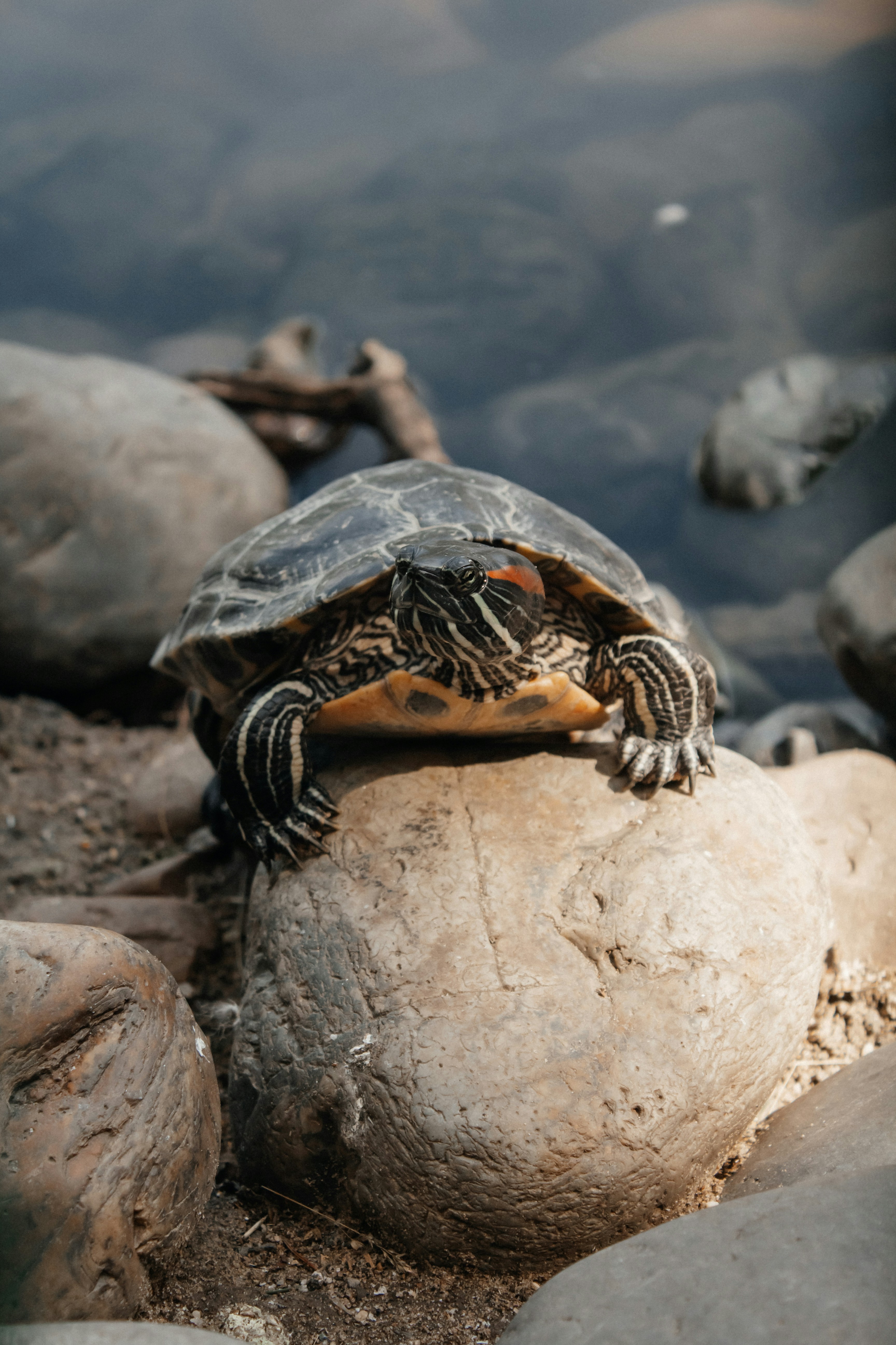 Photo by alinabondar_ph