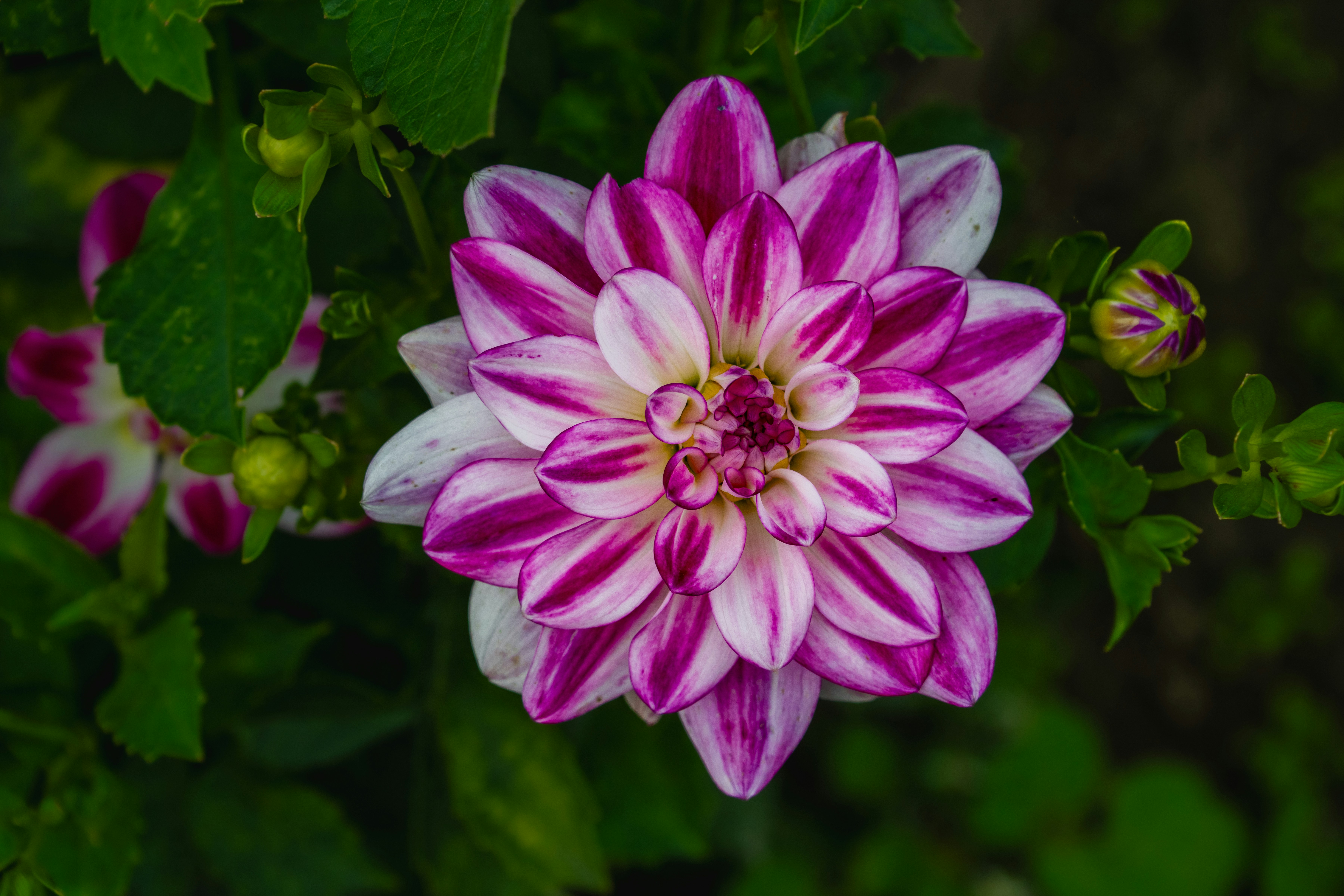 Photo by siegfriedpoepperl