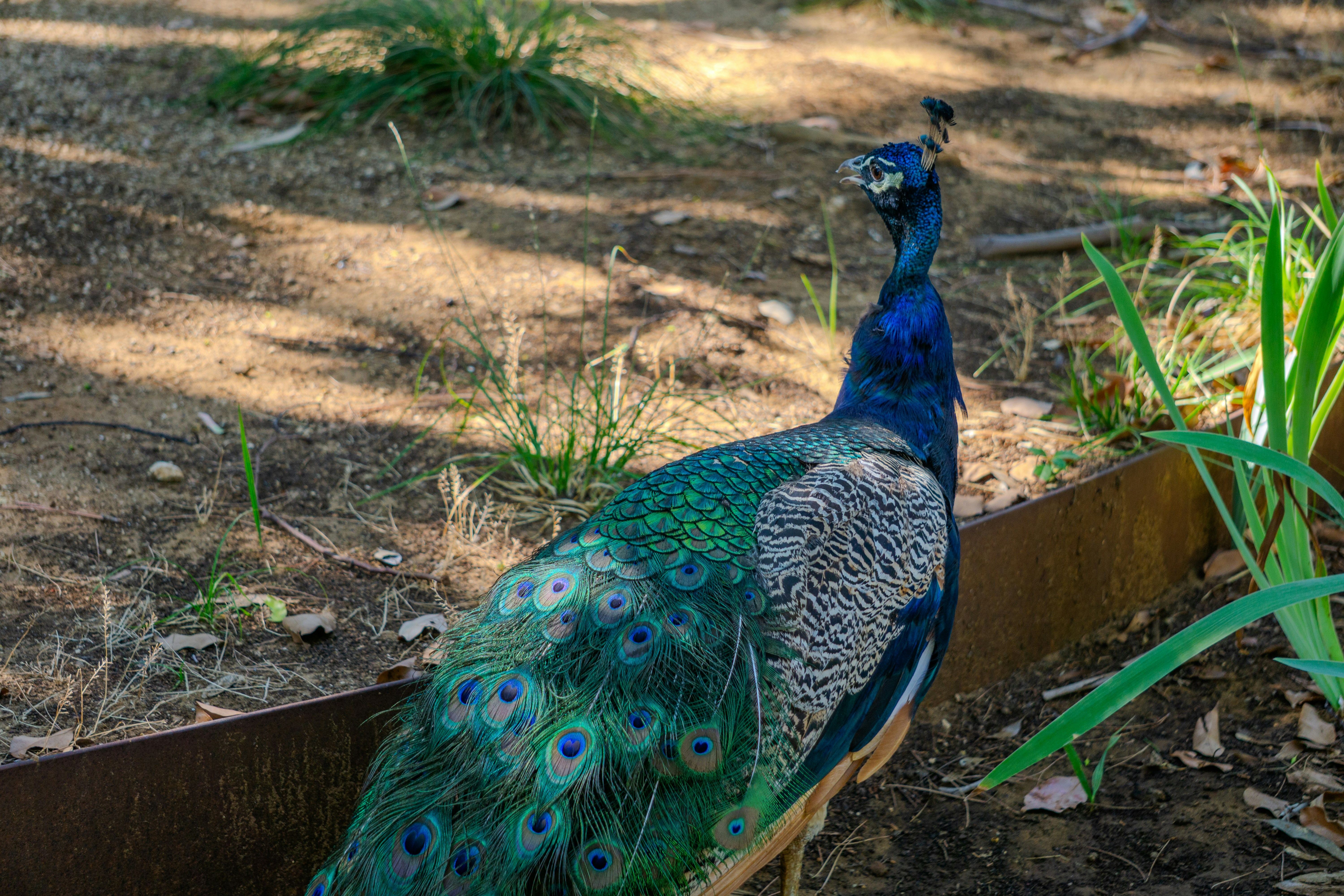 Photo by alexingraham