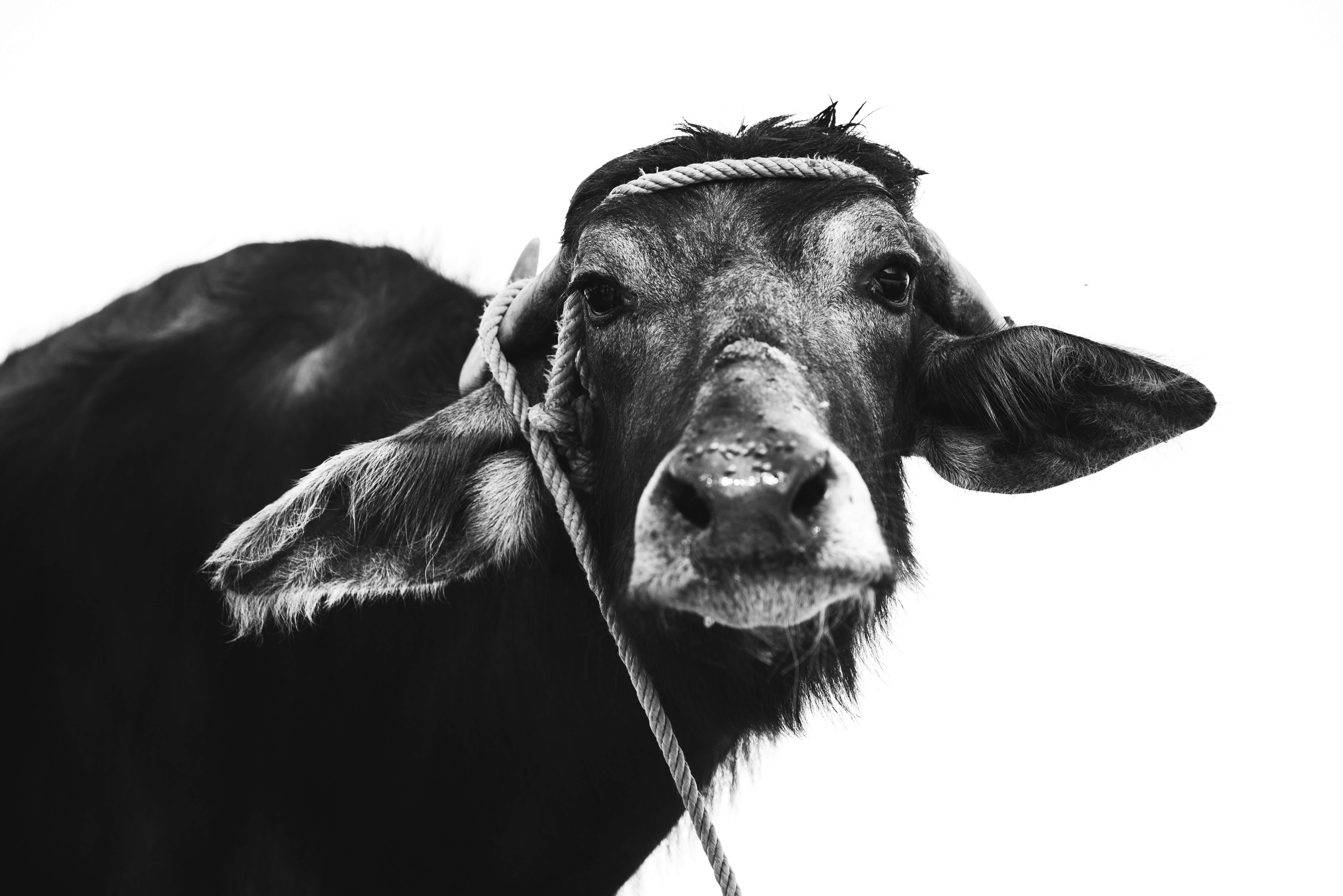 Photo by omar_abozeid