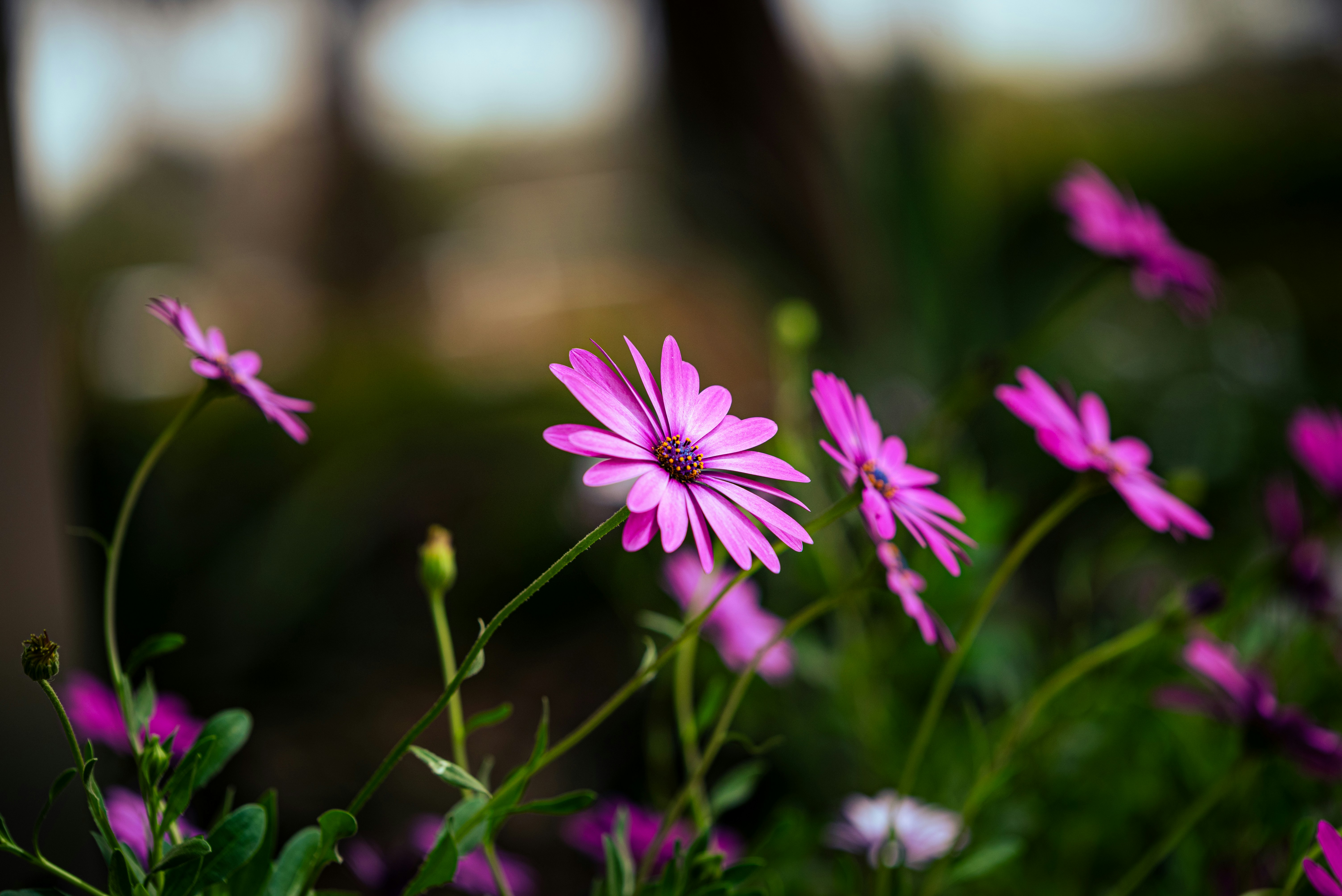 Photo by omar_abozeid