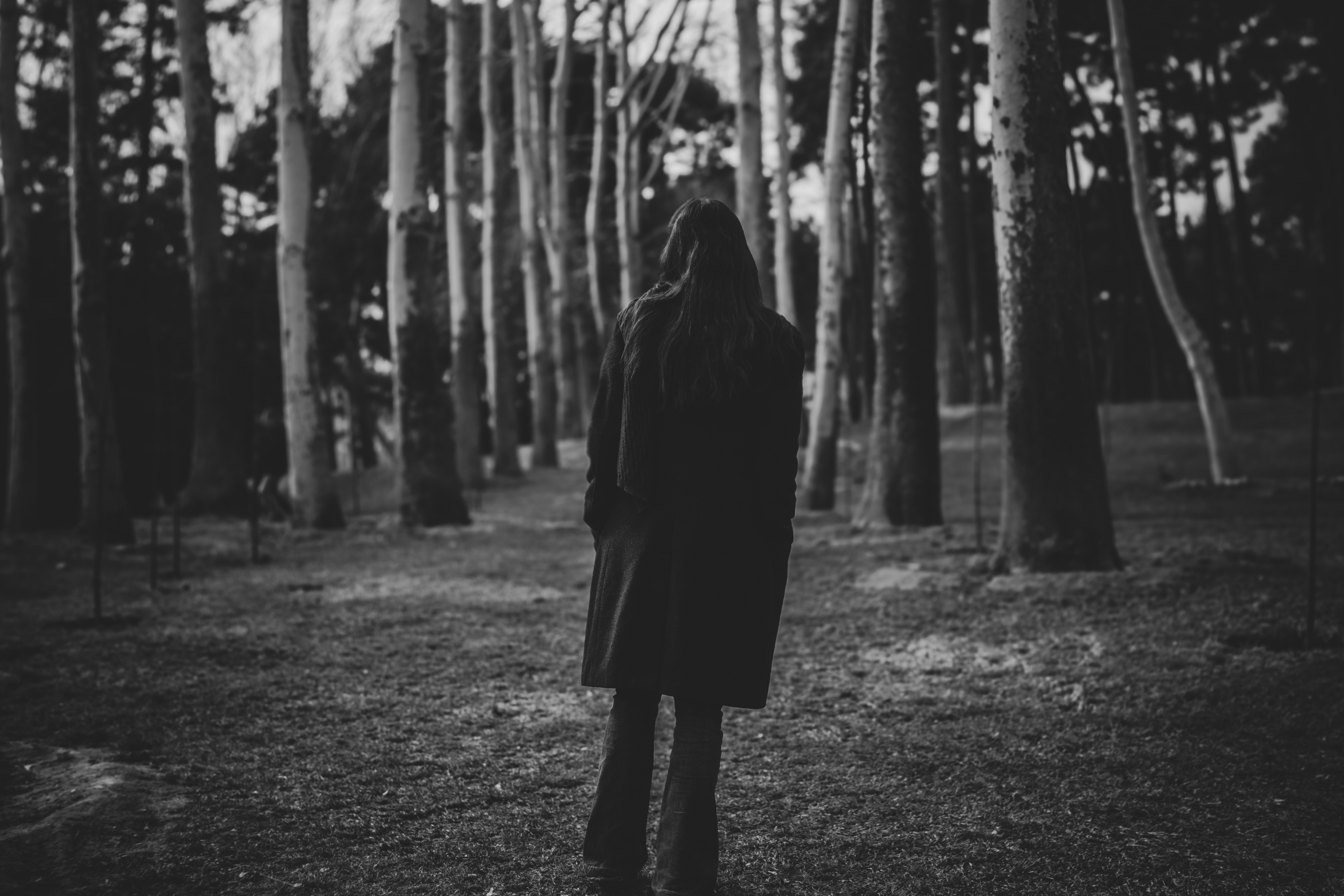 Photo by amirrezayuosefimarand