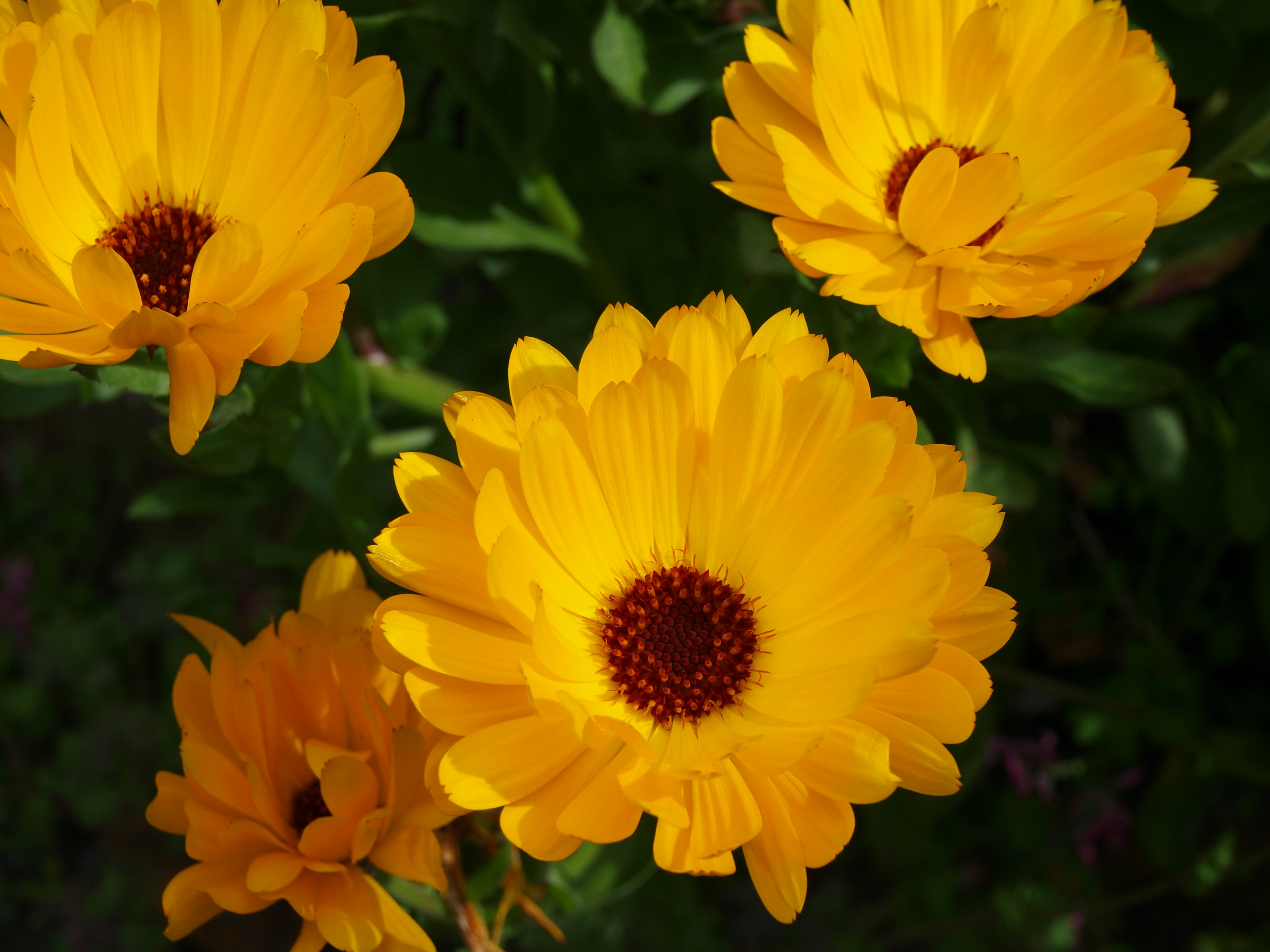 Photo by lutruwita_exposure