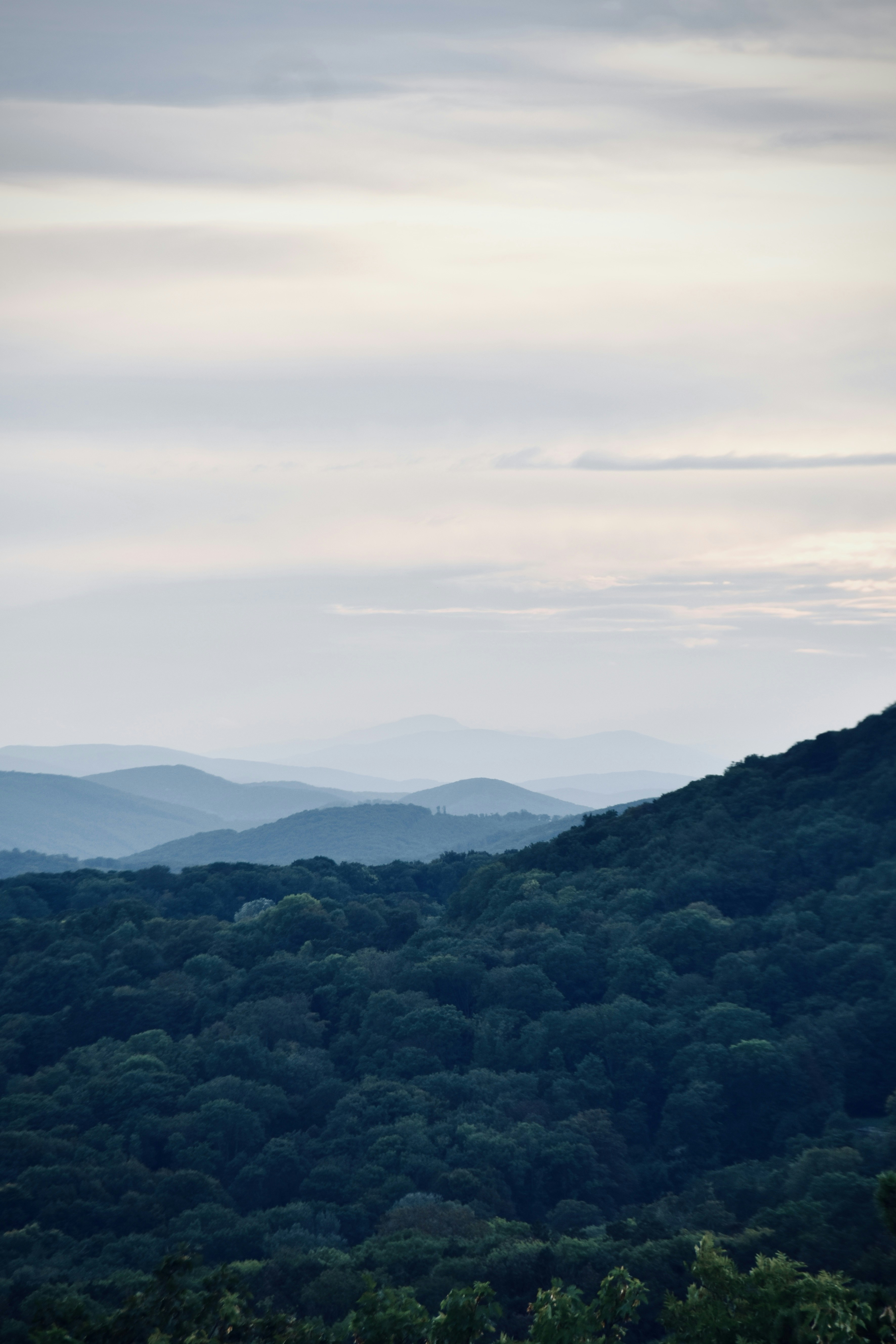 Photo by arnosenoner