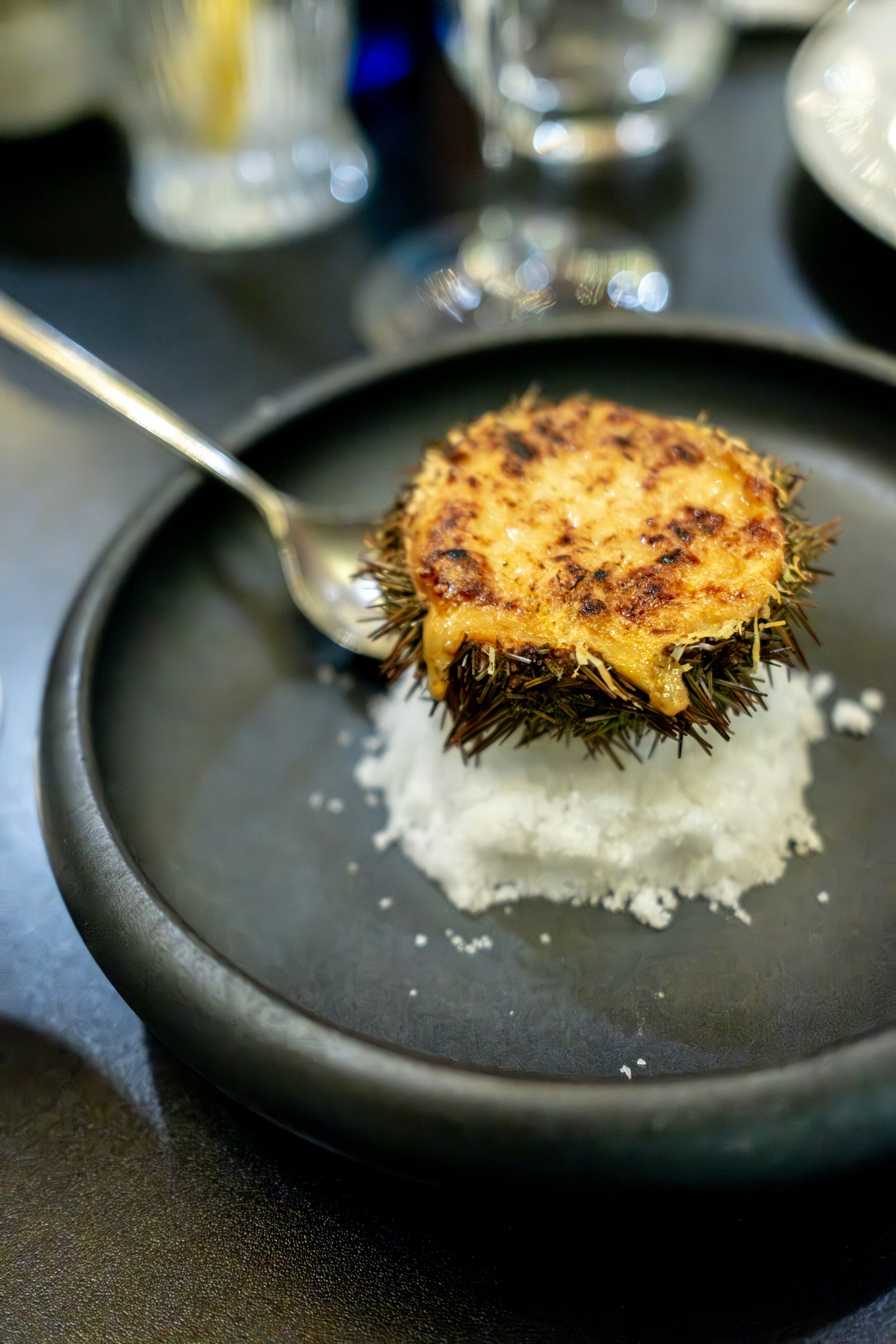 A gourmet sea urchin dish with melted cheese topping.