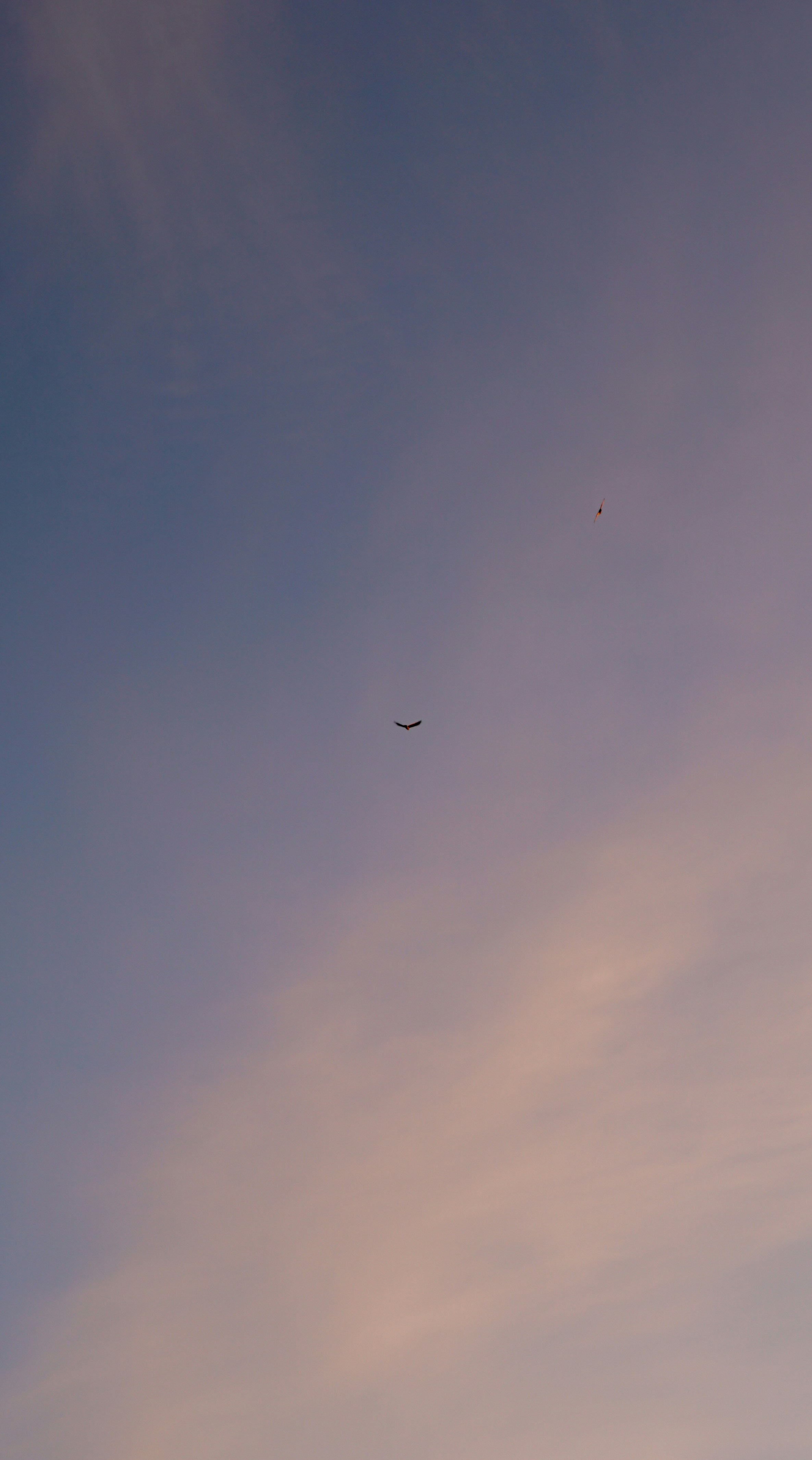 Photo by julianurrutia