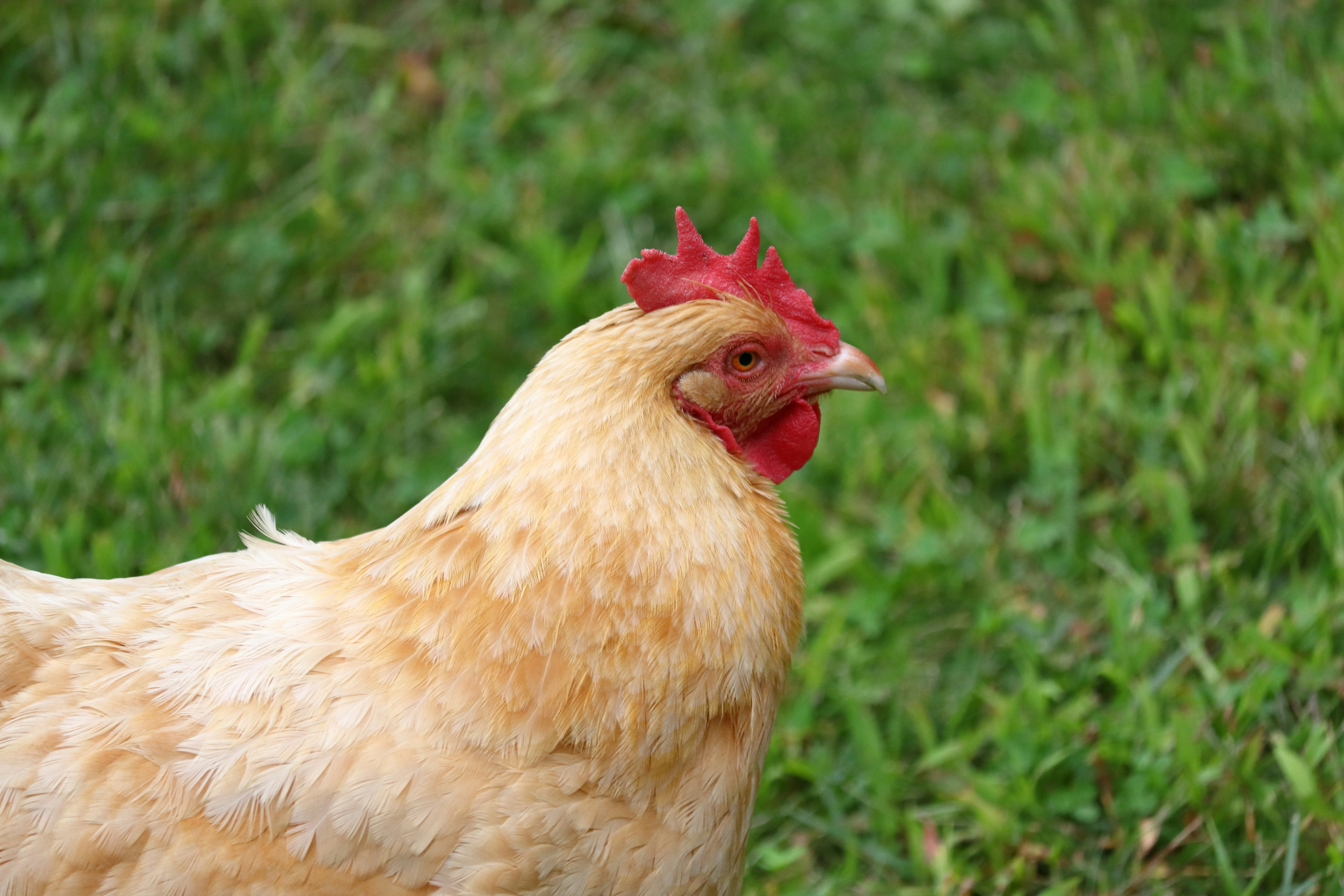 Photo by sandridge_aerialimaging