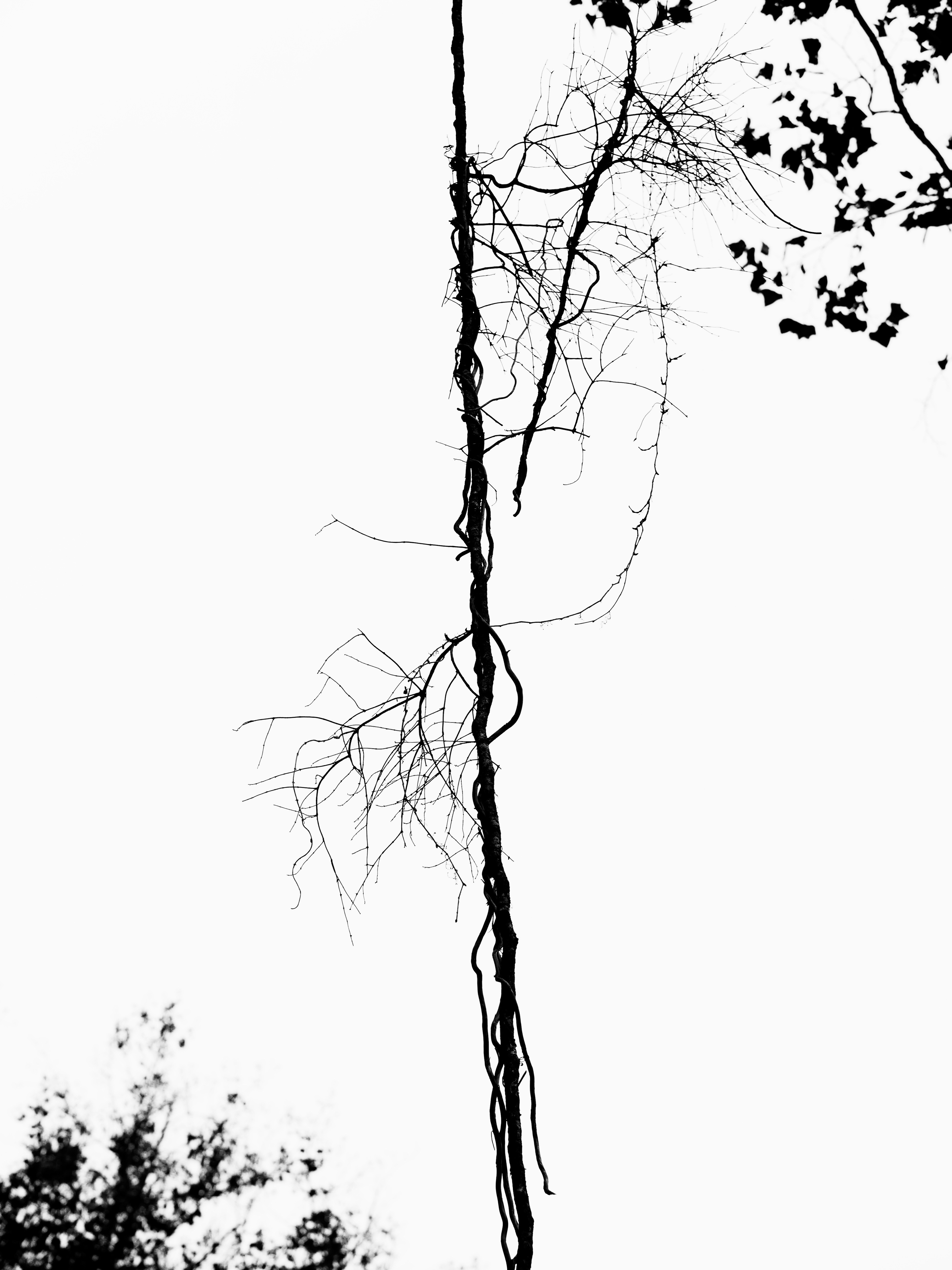 Photo by sschusterphotoart