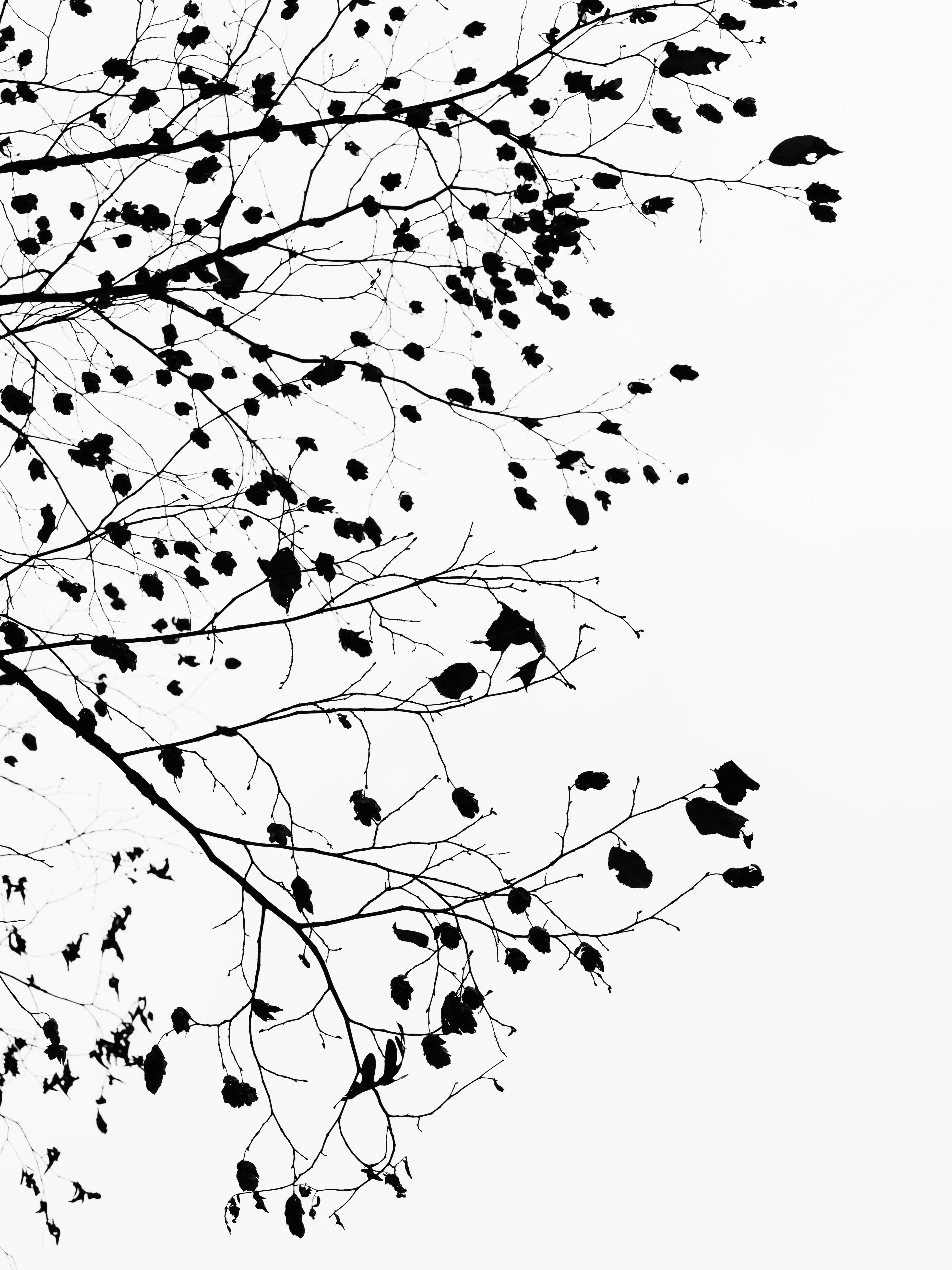 Photo by sschusterphotoart