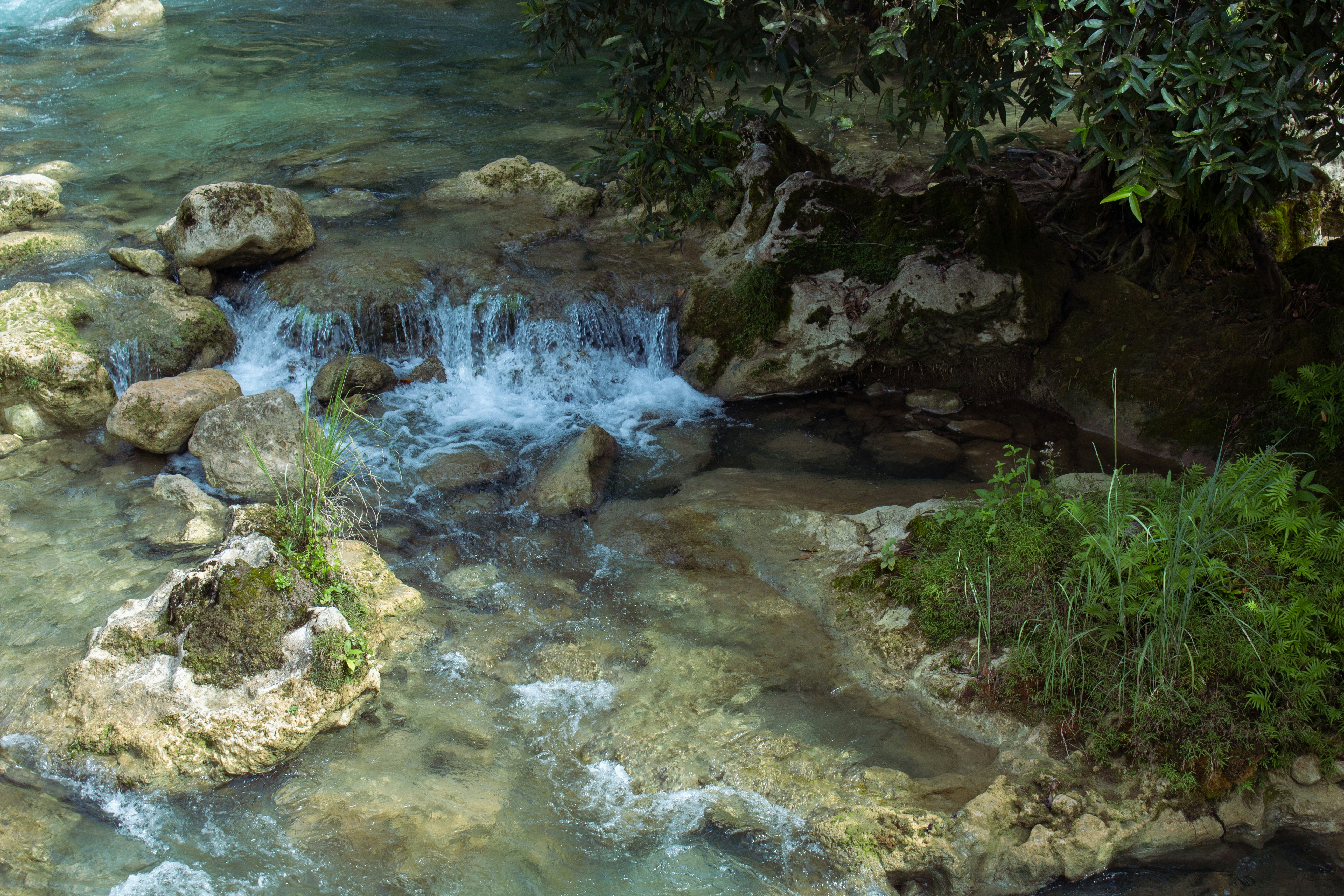 7 Florida Springs That Are Free to Visit