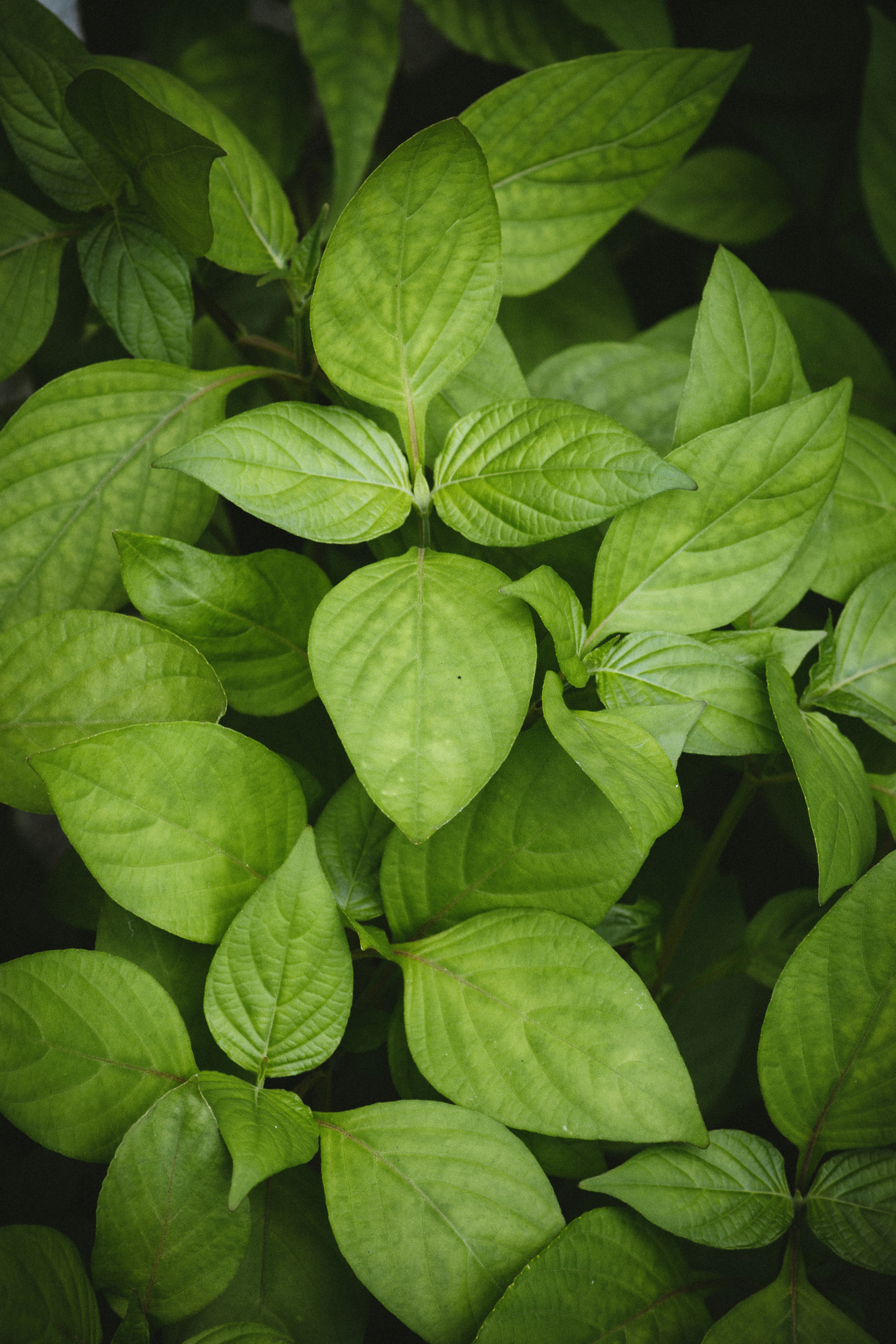 Photo by kian_bbread