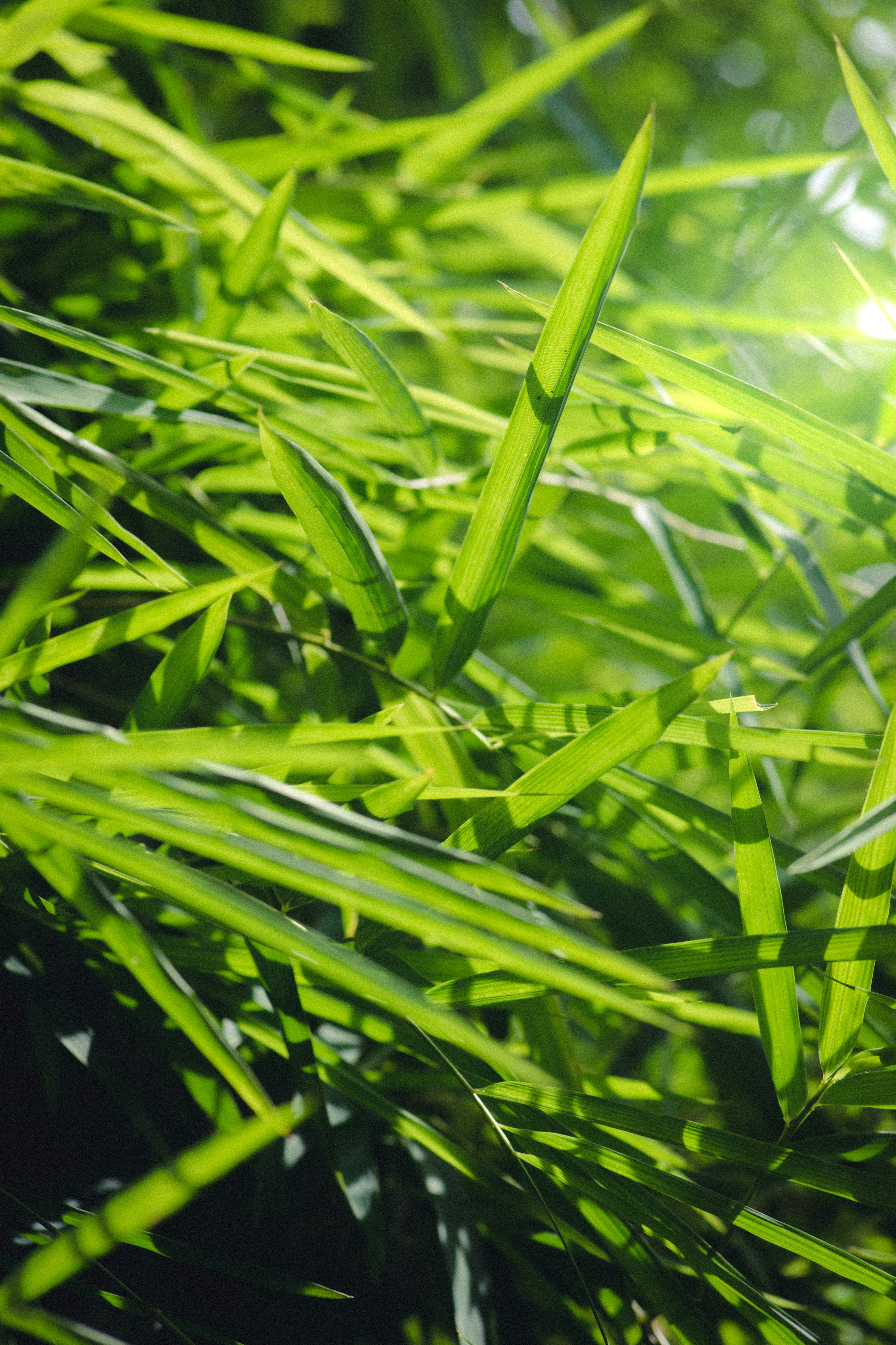 Photo by kian_bbread