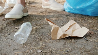 Nettoyage après squat