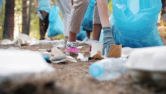 People collecting trash in a forest with blue bags.