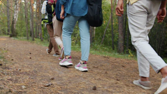 Group of people walking on a forest path