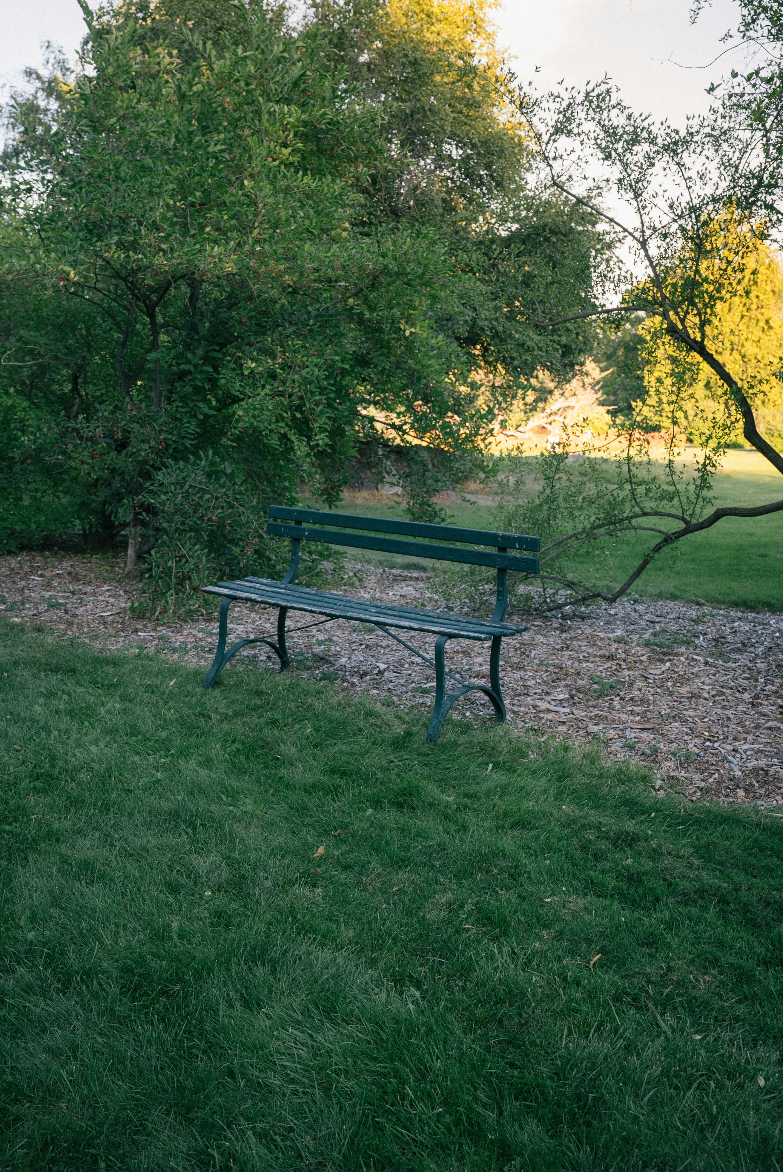 Photo by lukeadventure