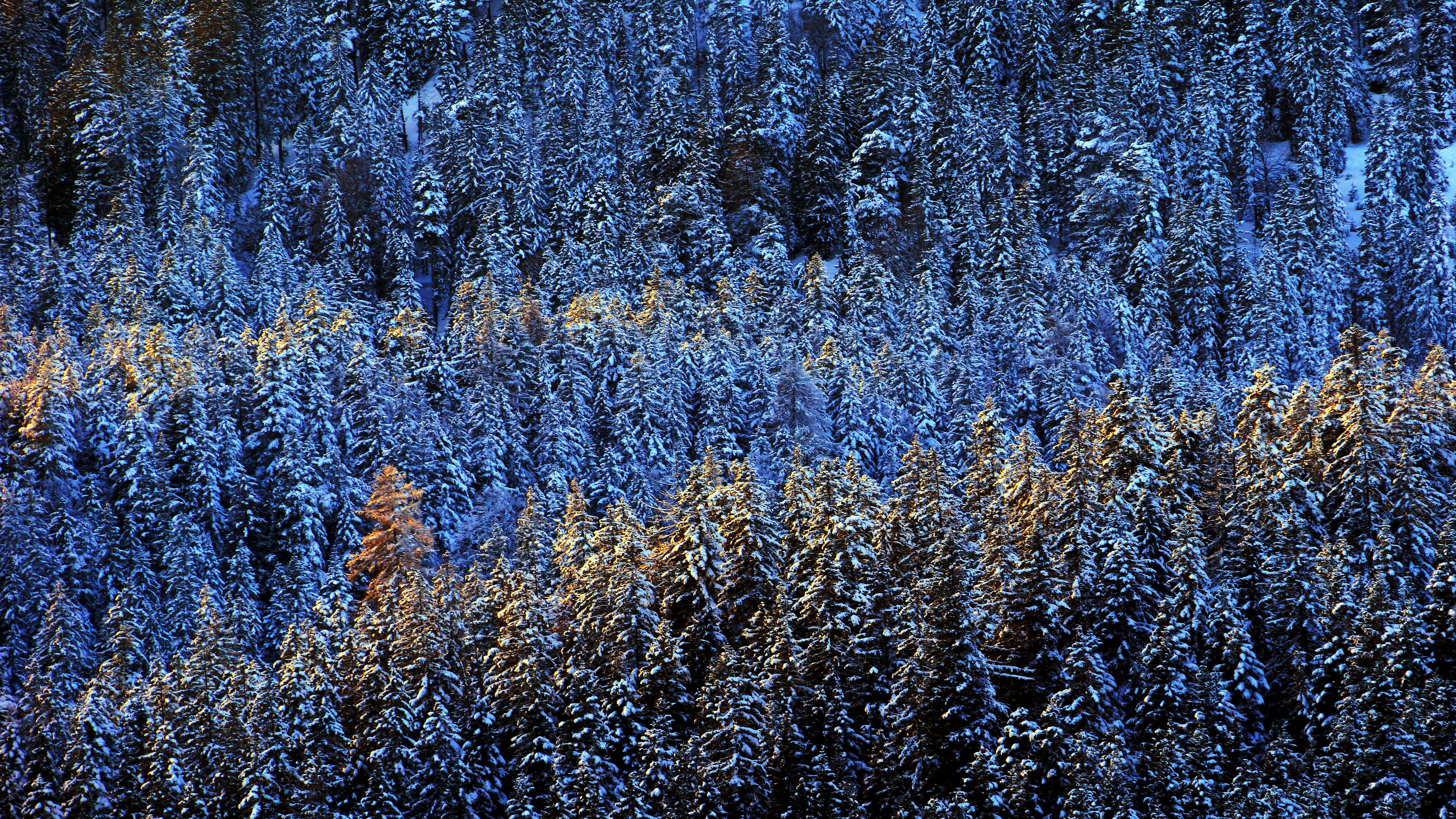 Image by boris misevic via Unsplash