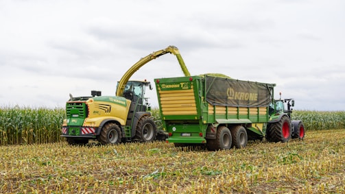 Harvester loading corn into a trailer in a field.