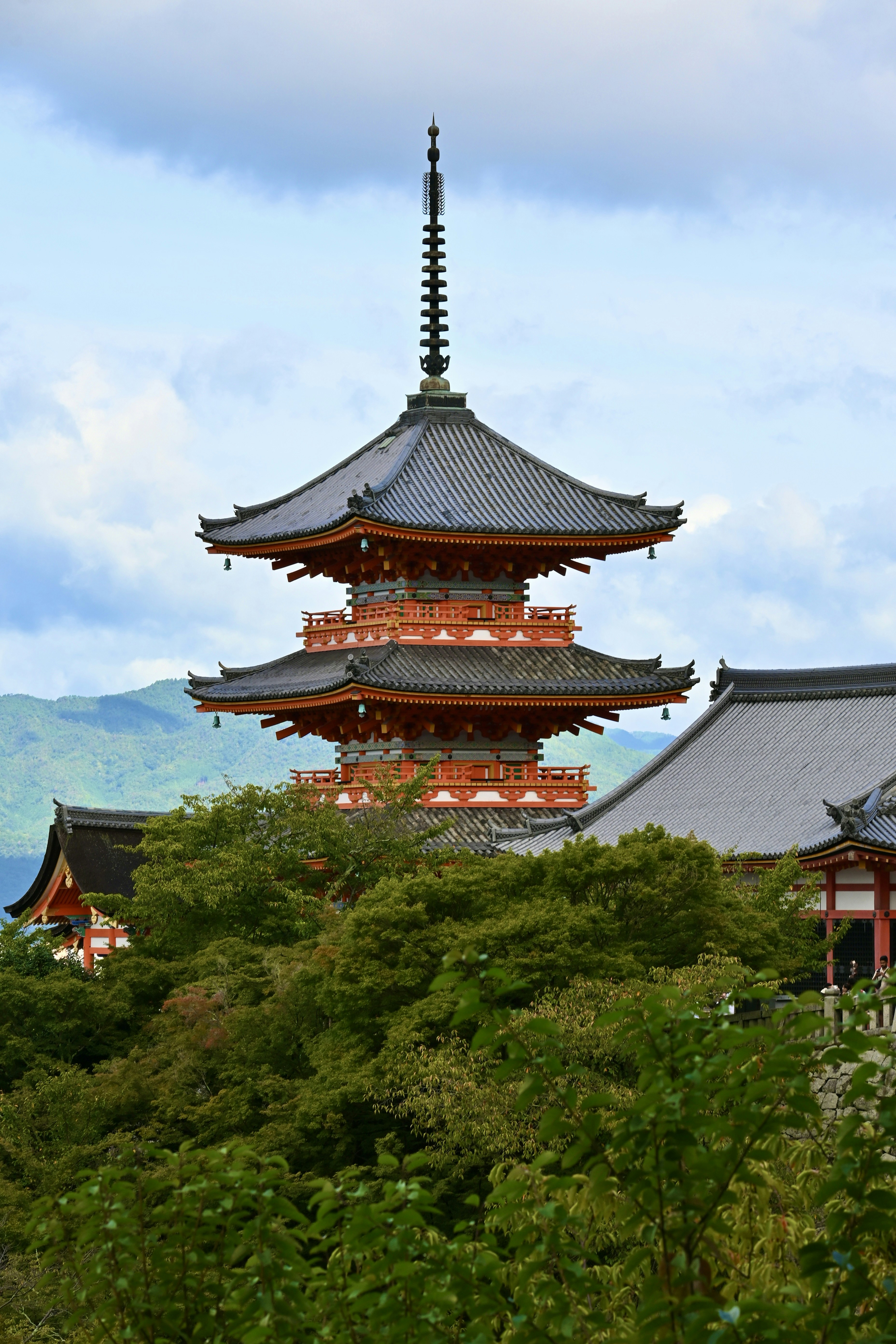 Photo by elroy_from_021