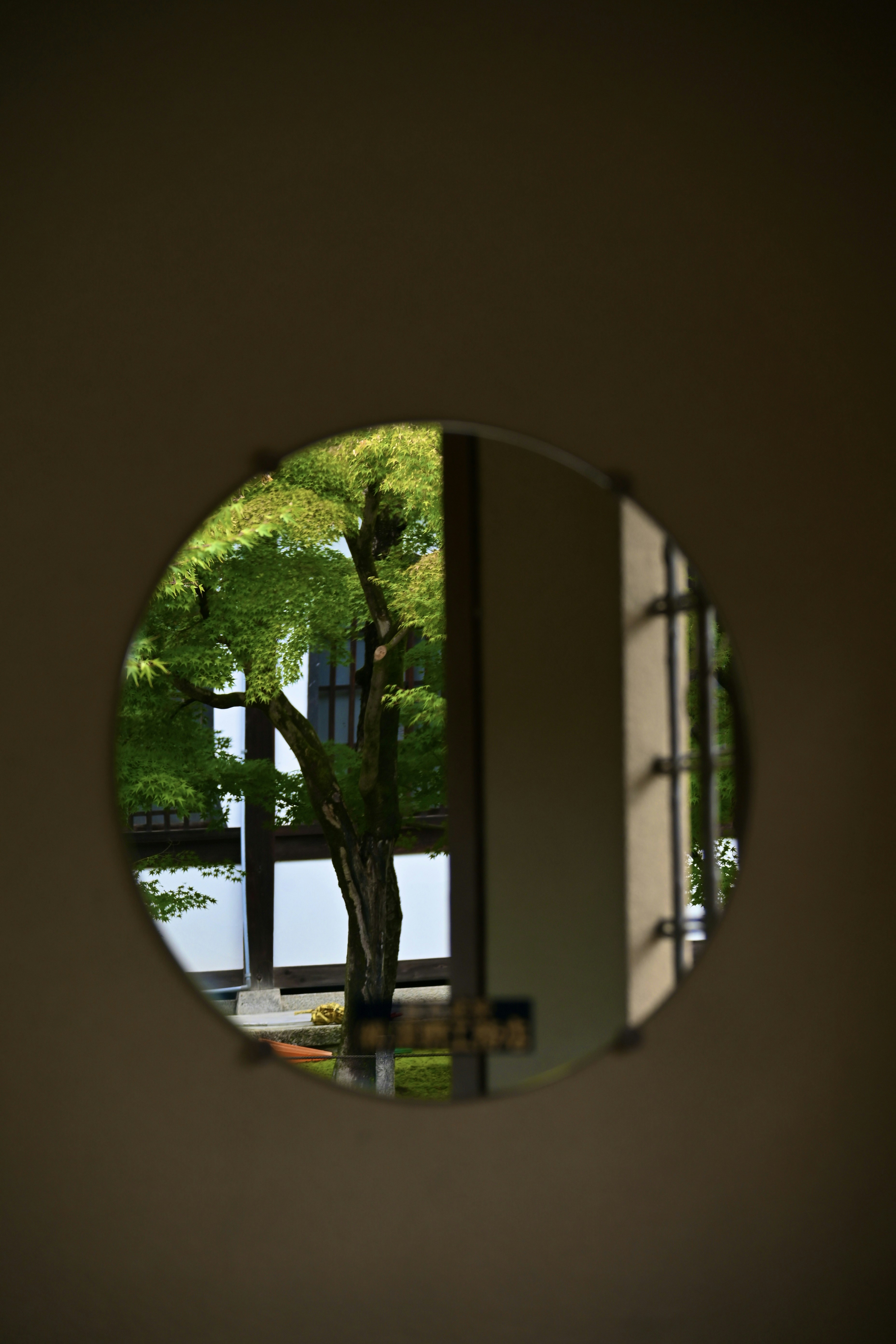 Photo by elroy_from_021