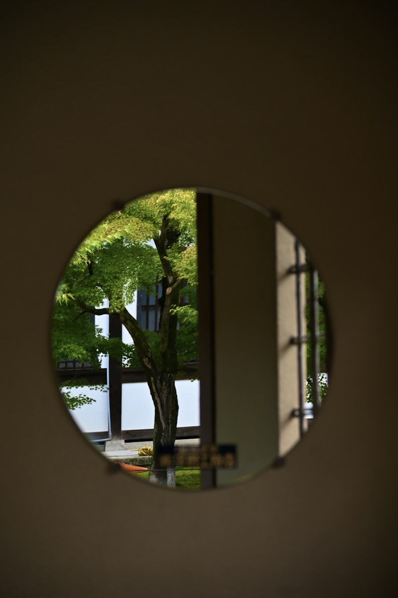関西学院大学