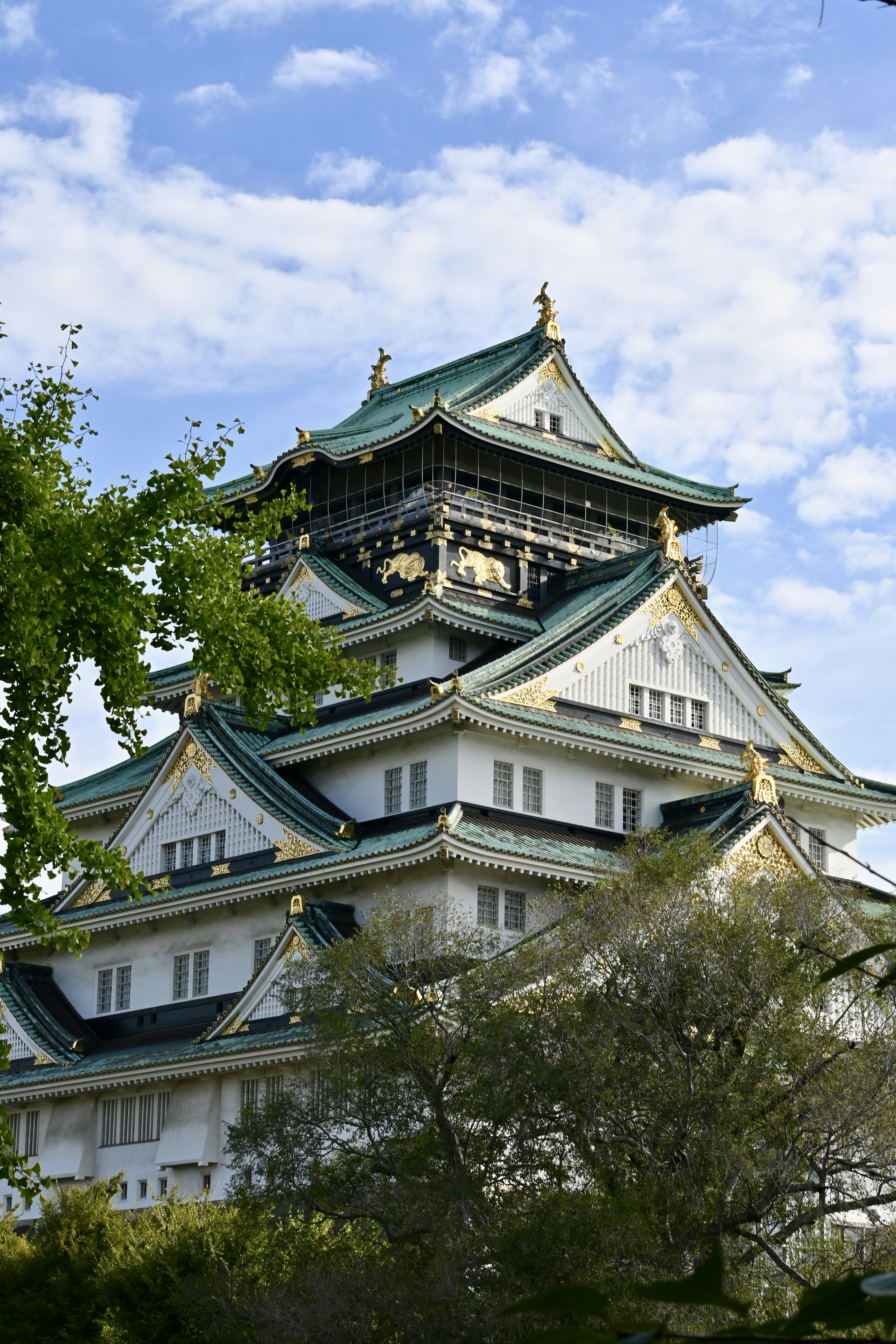 Photo by elroy_from_021