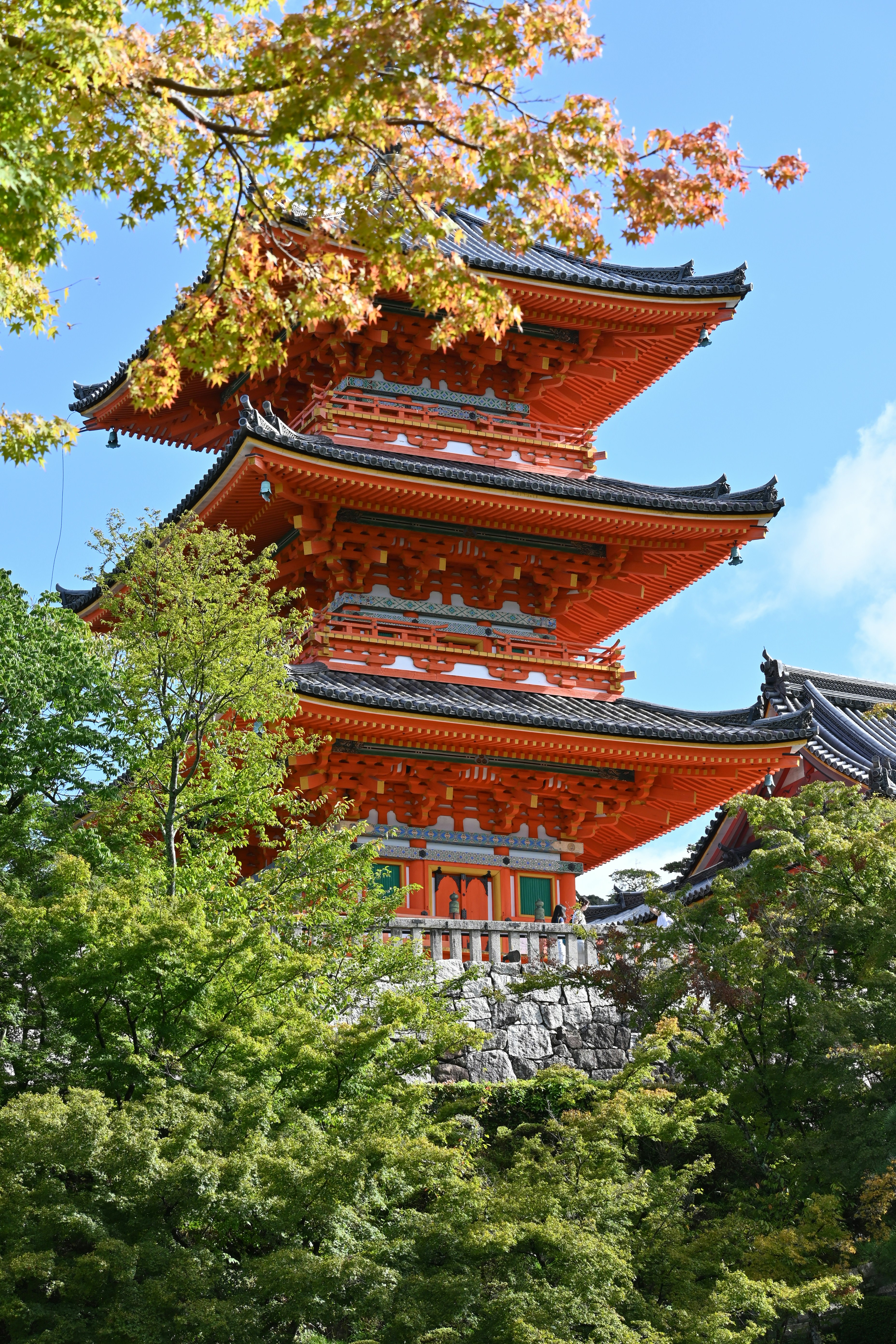 Photo by elroy_from_021