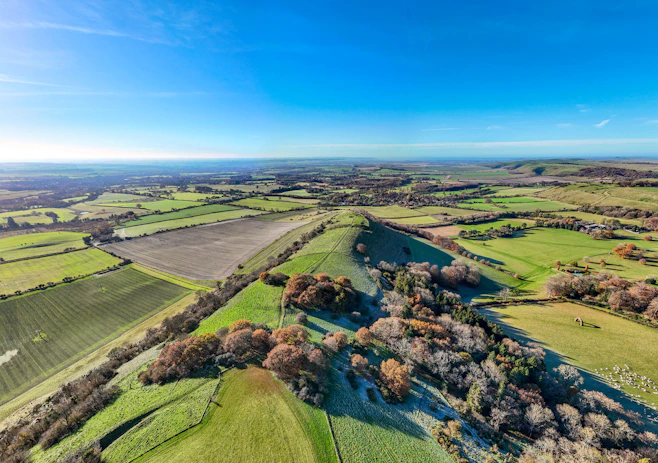 Rolling green hills and fields under a clear blue sky.
