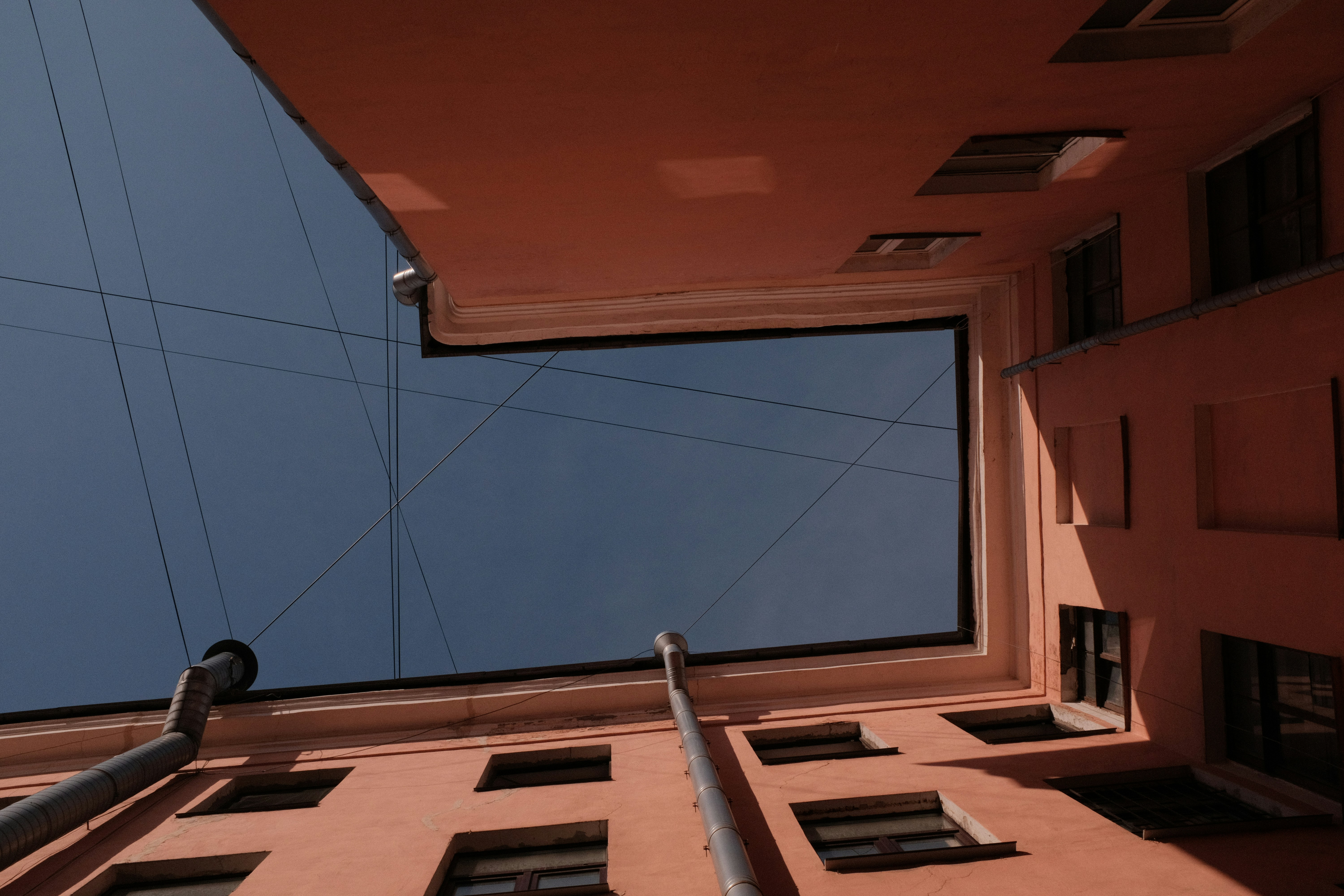 Animation Style Options