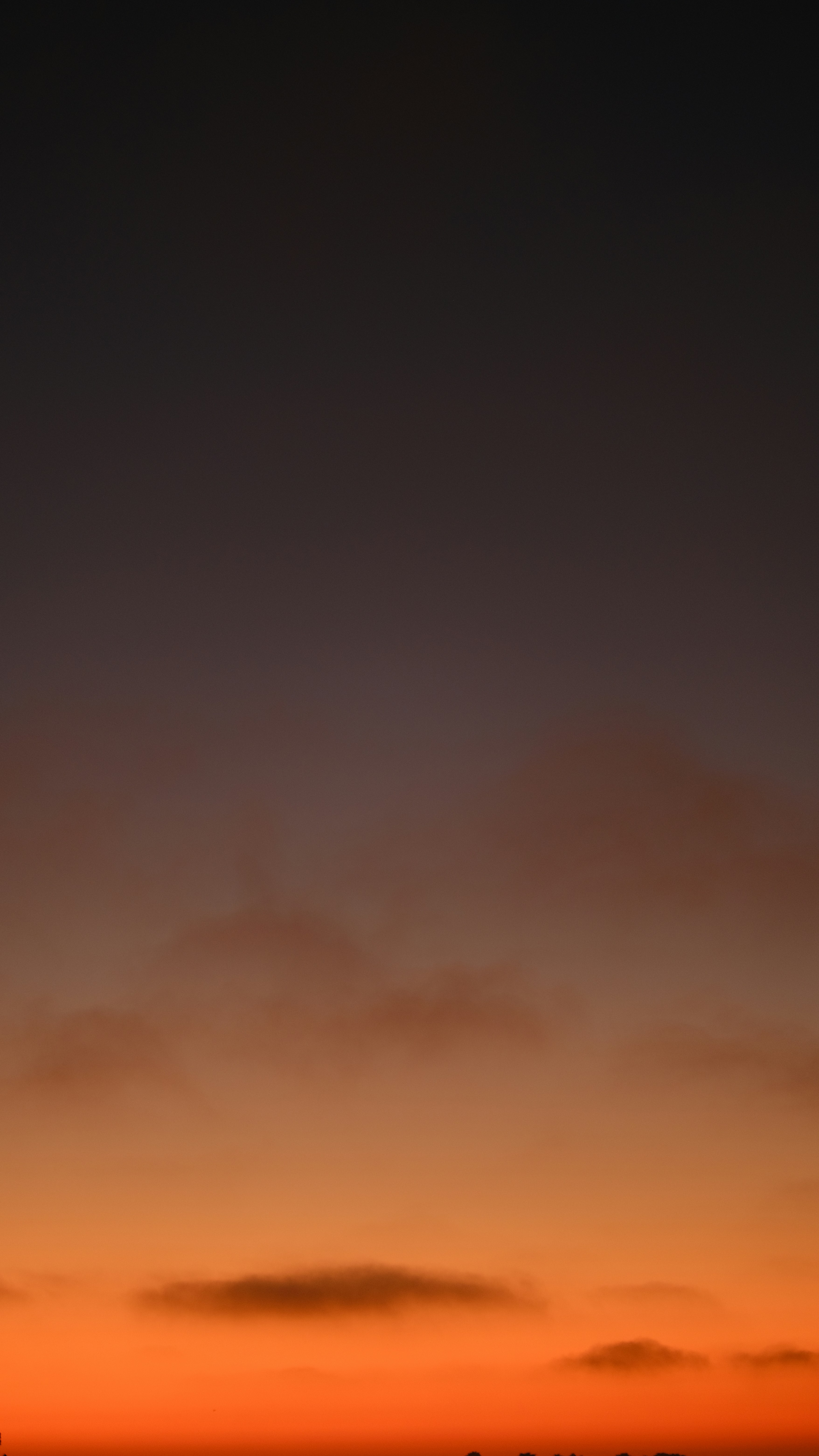 Photo by sulavjunghamal