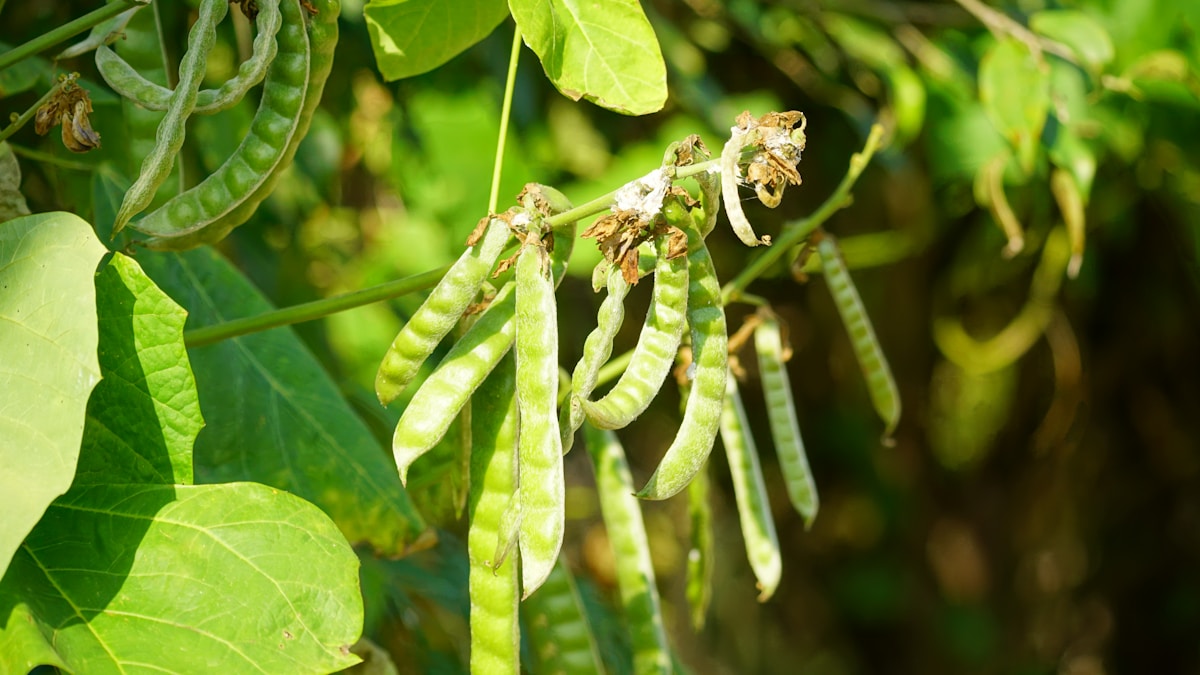 Best Korean Hand Creams: Luxurious Hydration in Your Pocket