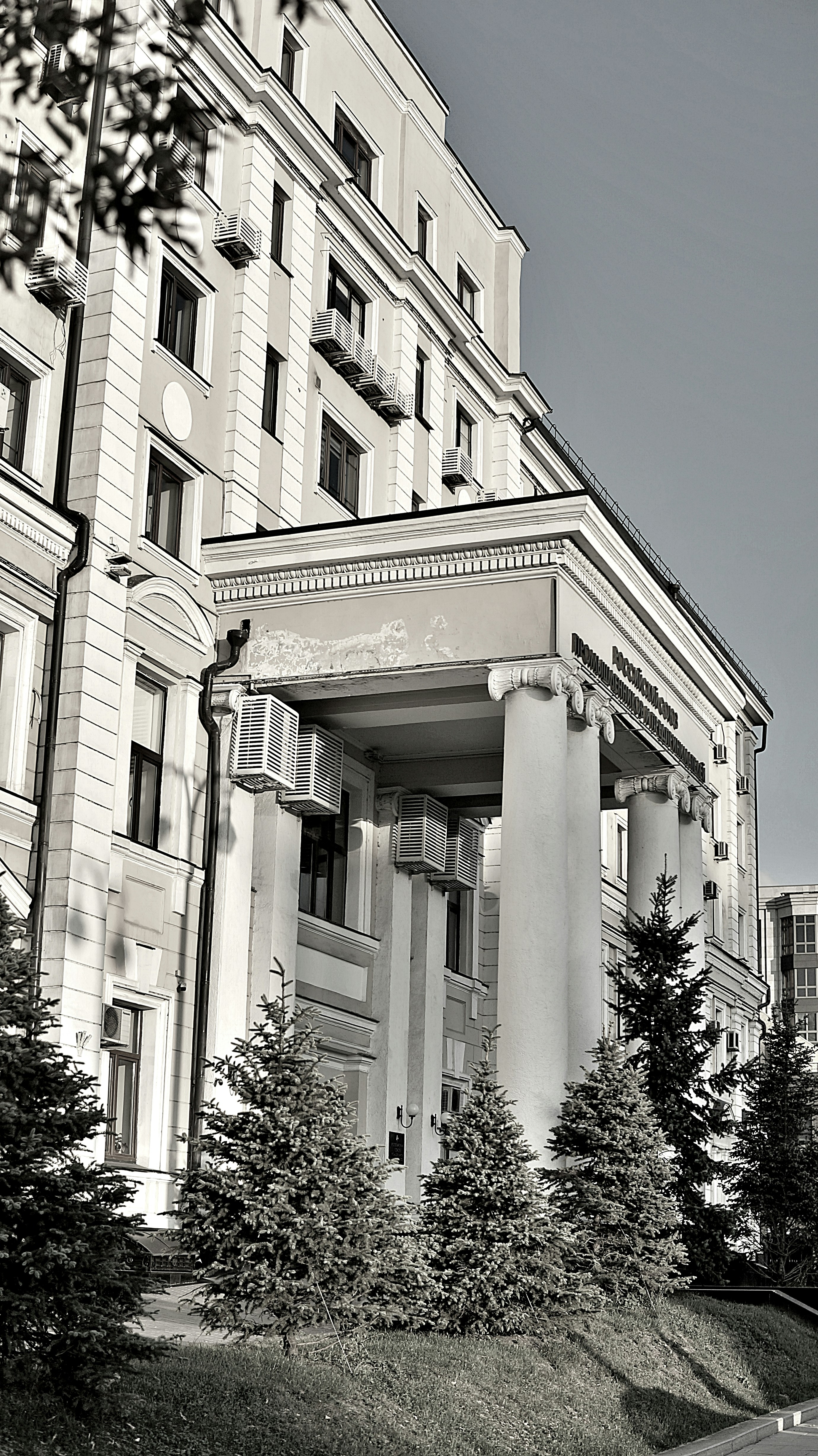 Grand building entrance with columns and pine trees.