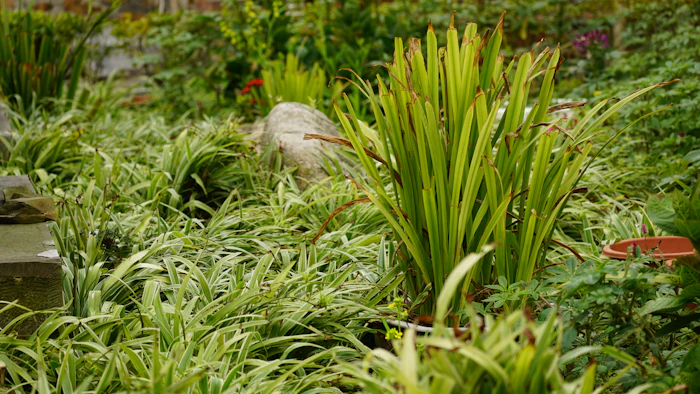 Layered garden bed with ornamental grasses and stone