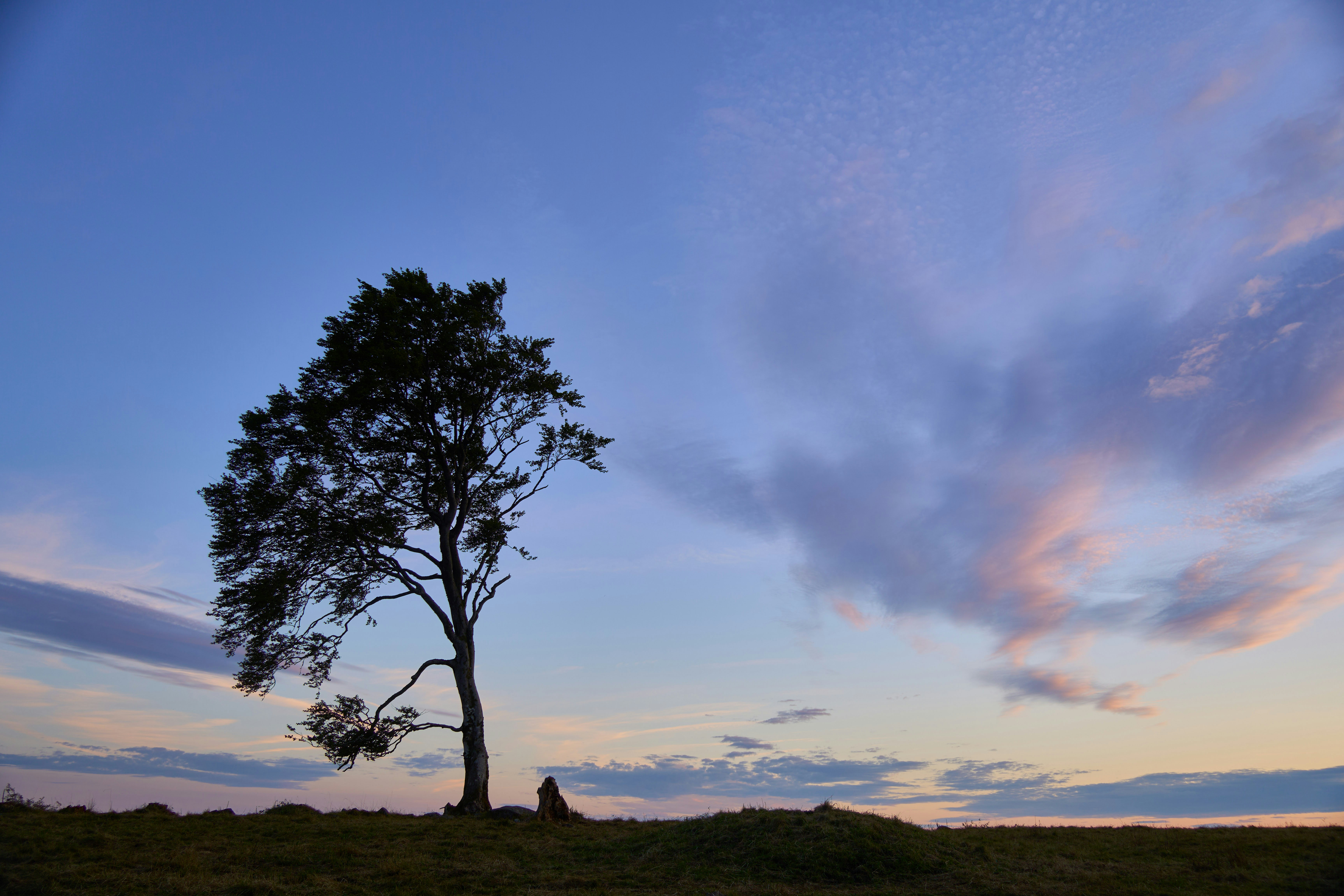 Photo by wolfgang_hasselmann