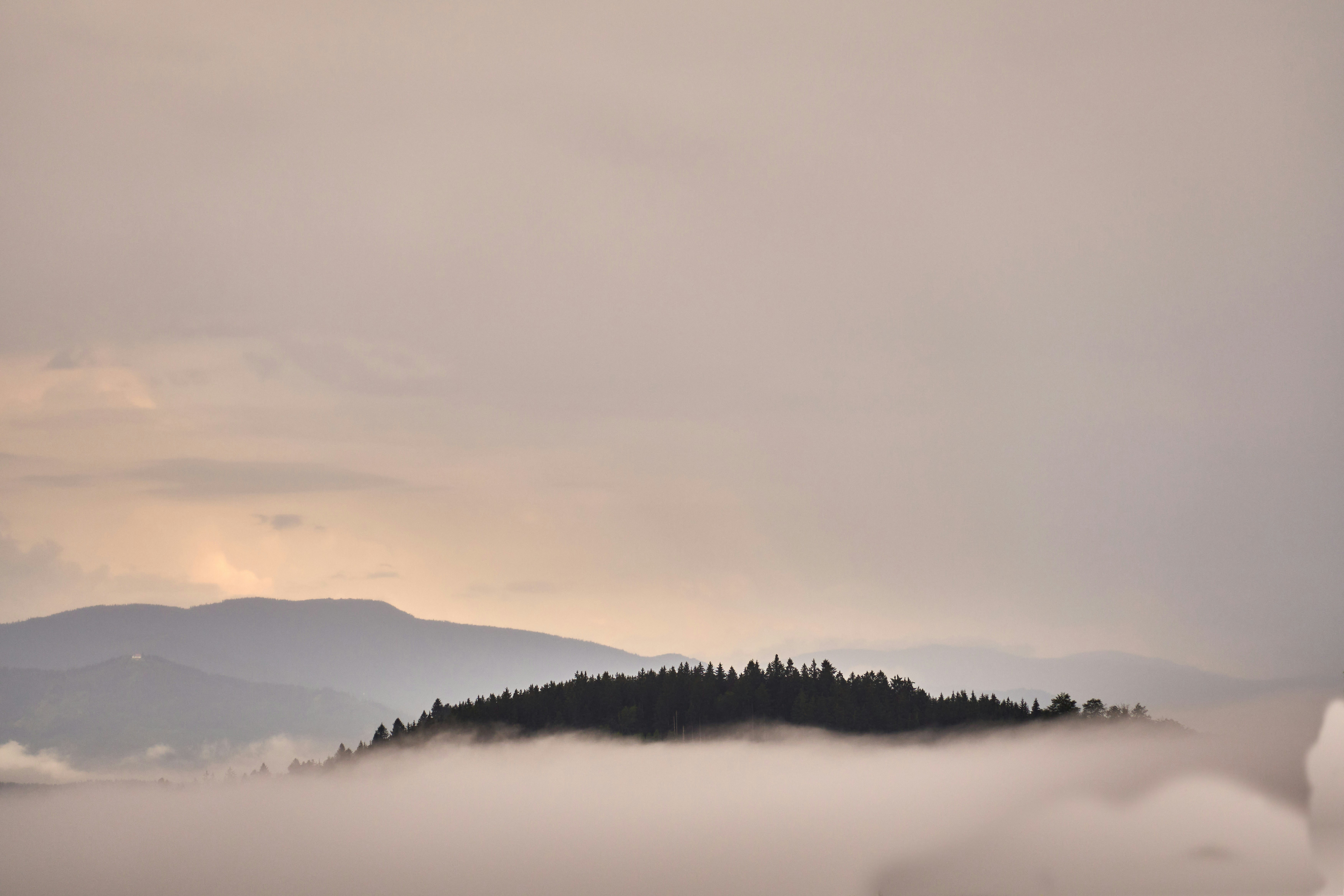 Photo by wolfgang_hasselmann