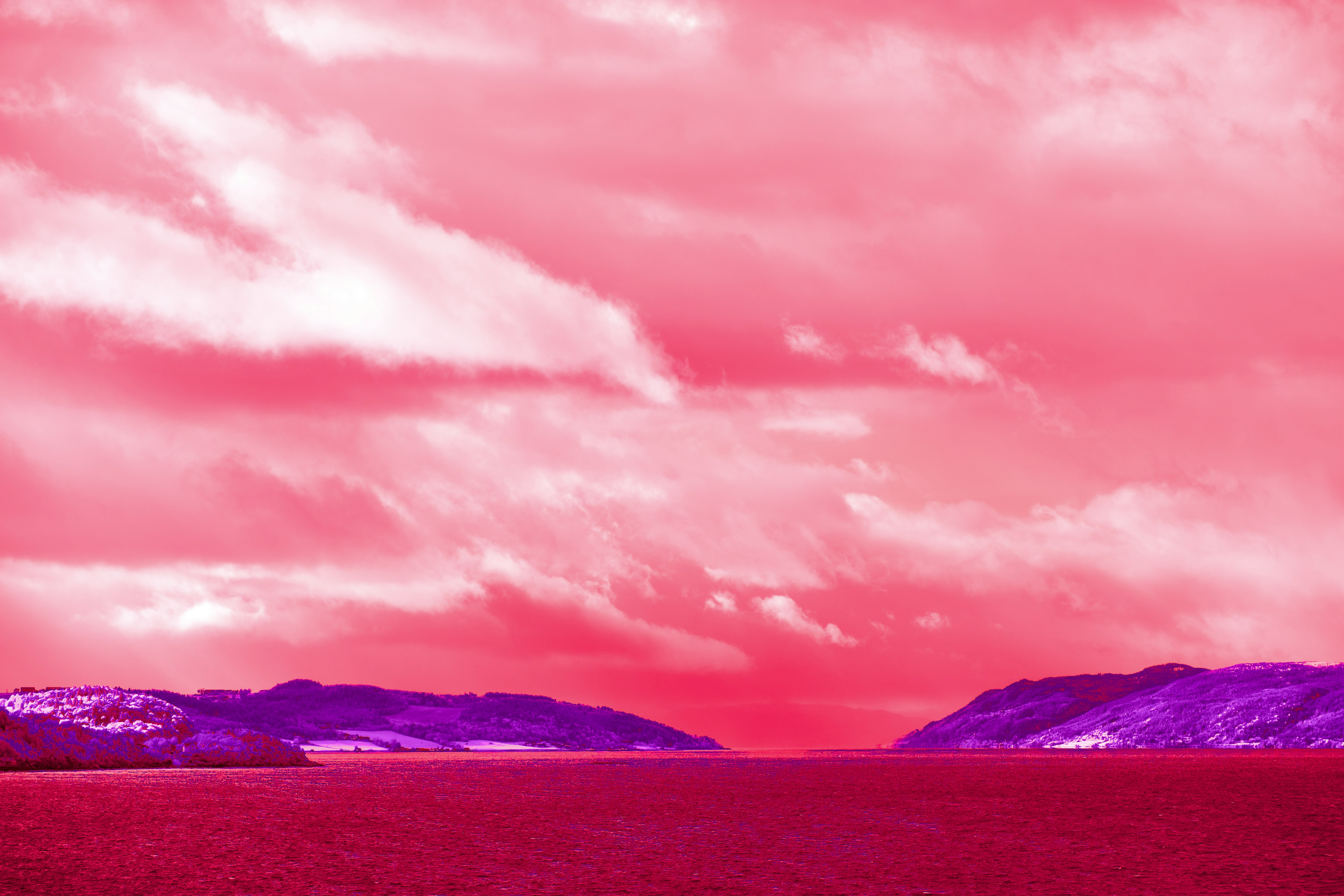 Photo by wolfgang_hasselmann