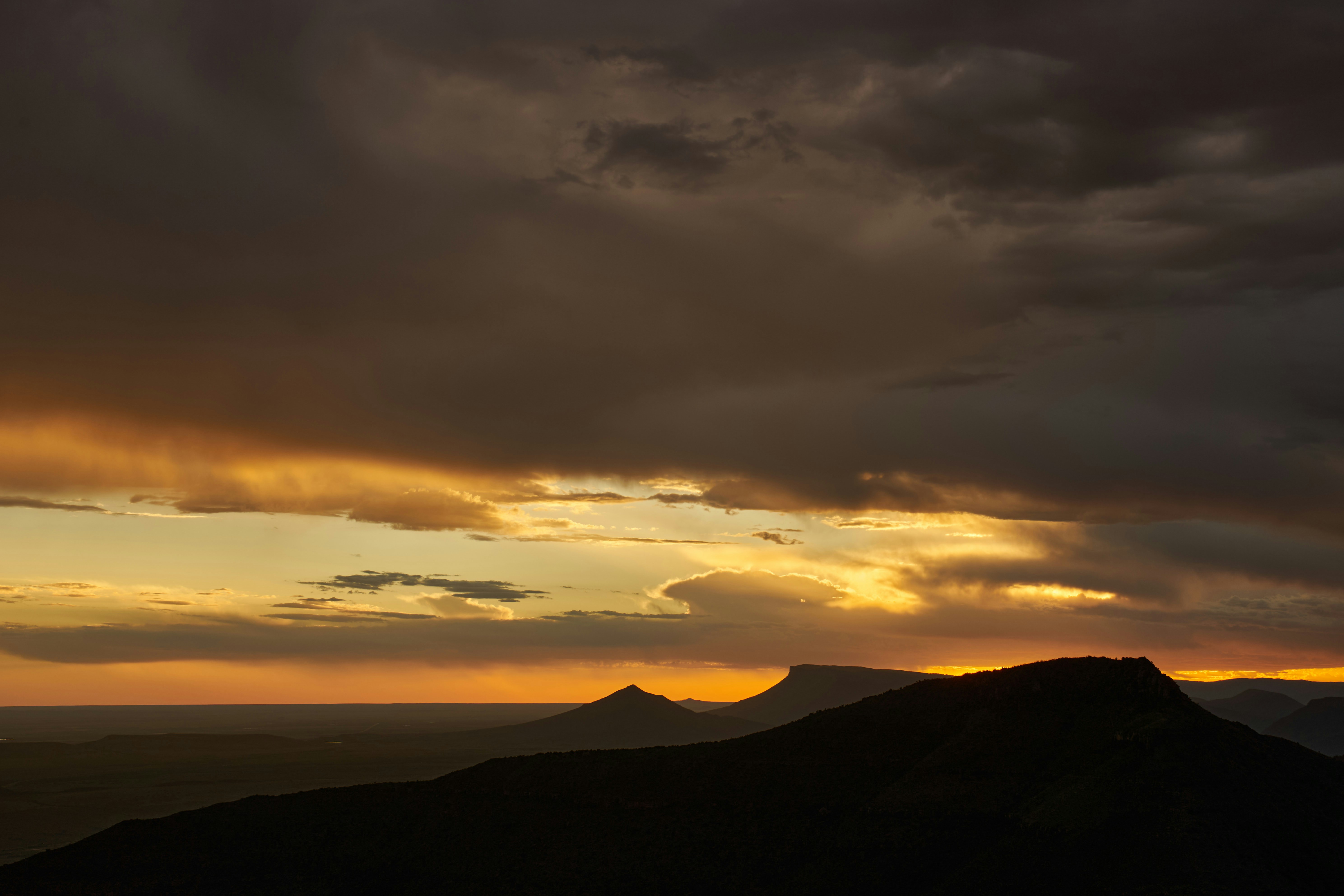 Photo by wolfgang_hasselmann