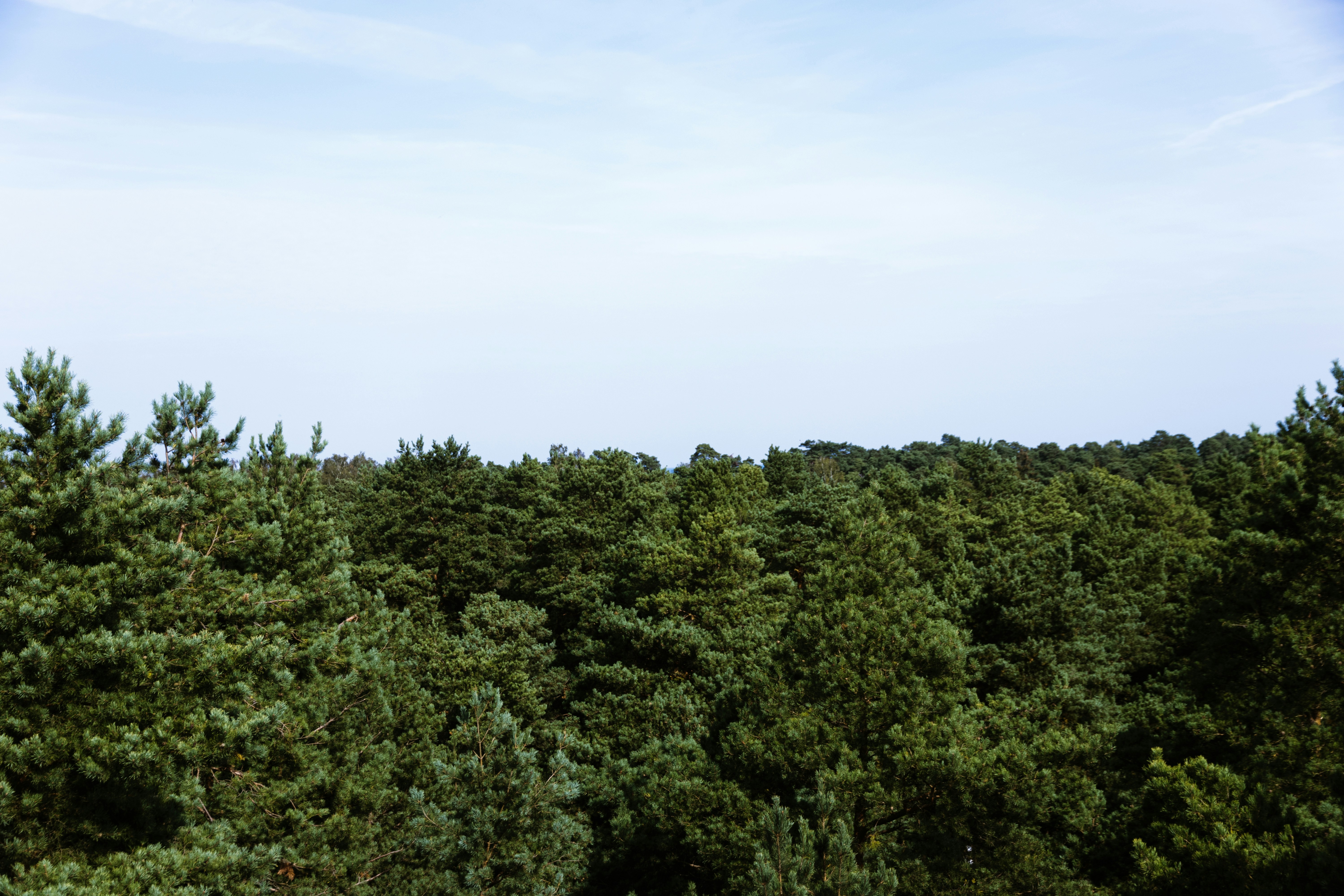 Photo by reinisbruzitis