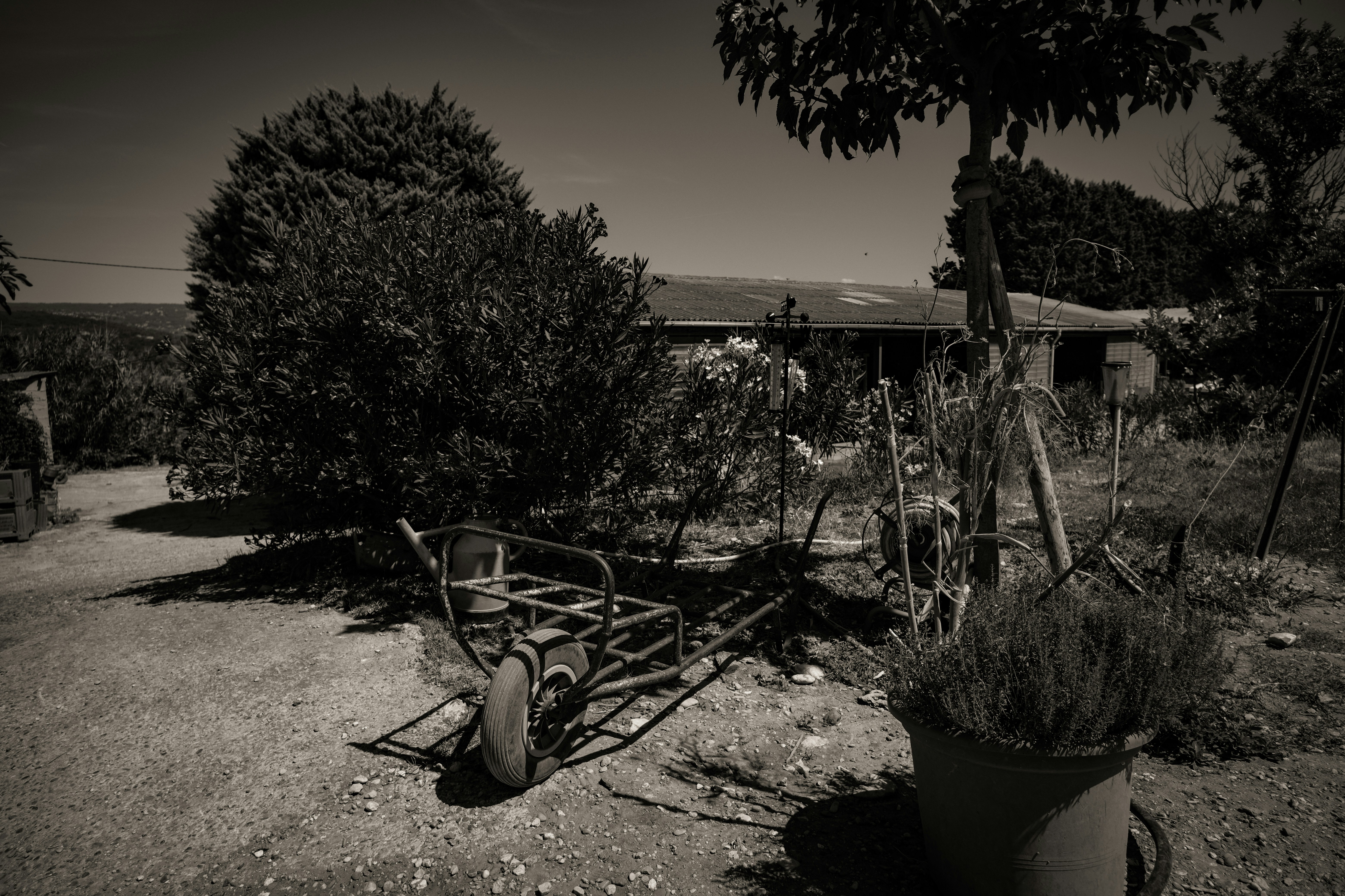 Photo by mads_leif_hansen