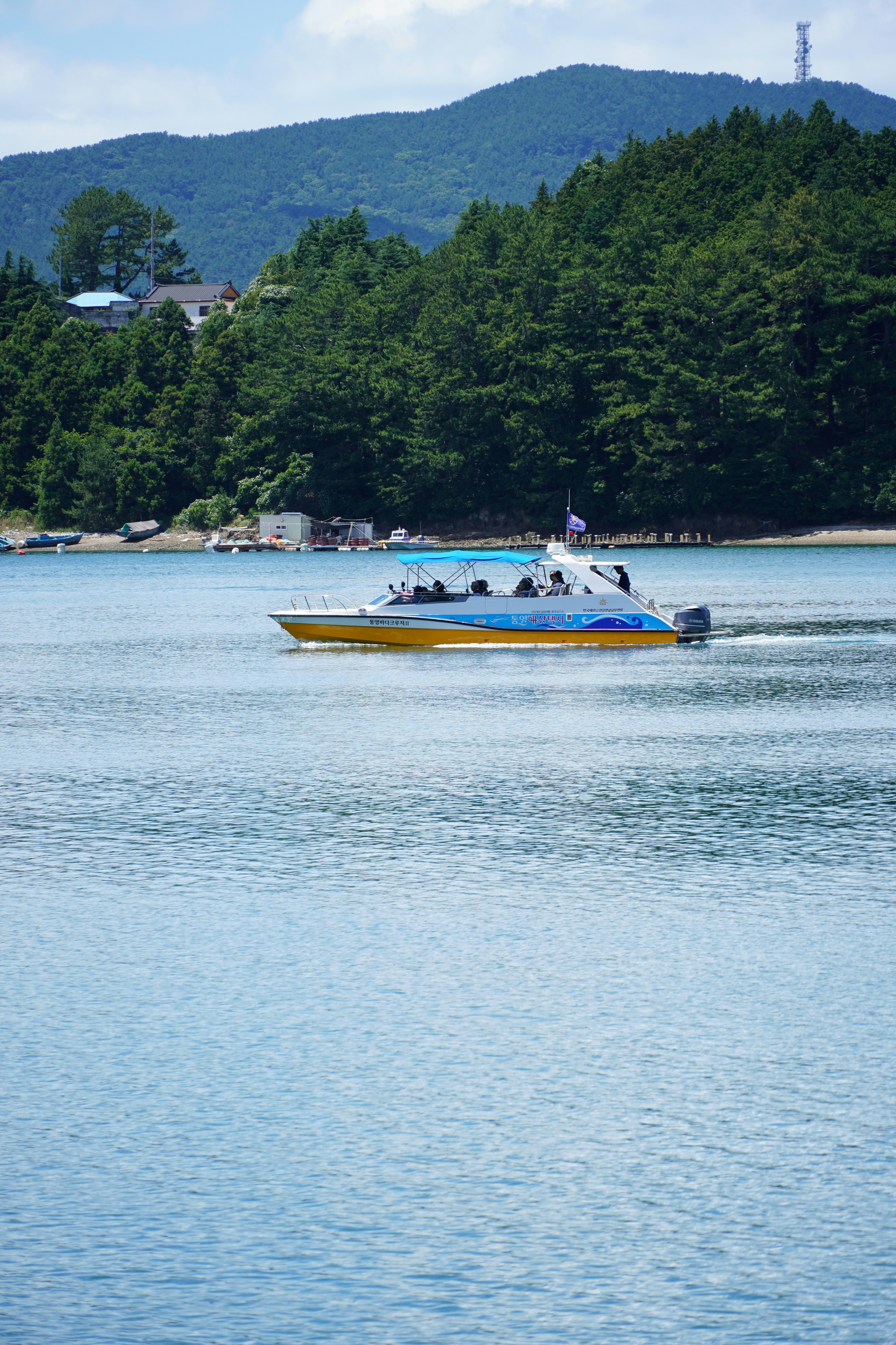 A yellow and blue speedboat cruises on calm blue water.